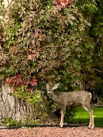 Out the front door of property