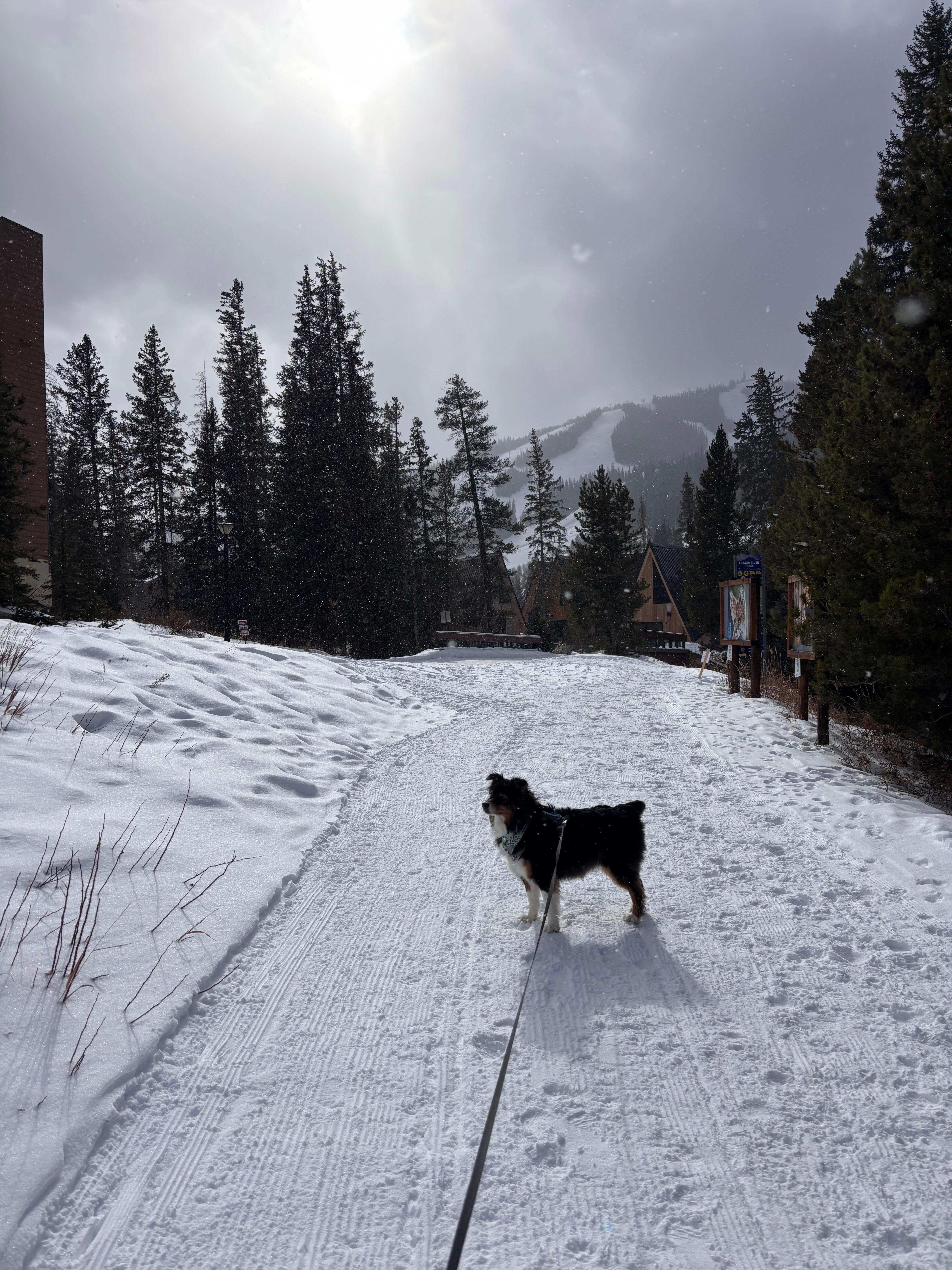 Hiking on the trail. You can easily hike two miles into town and take the bus back. 