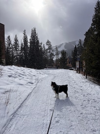Hiking on the trail. You can easily hike two miles into town and take the bus back.