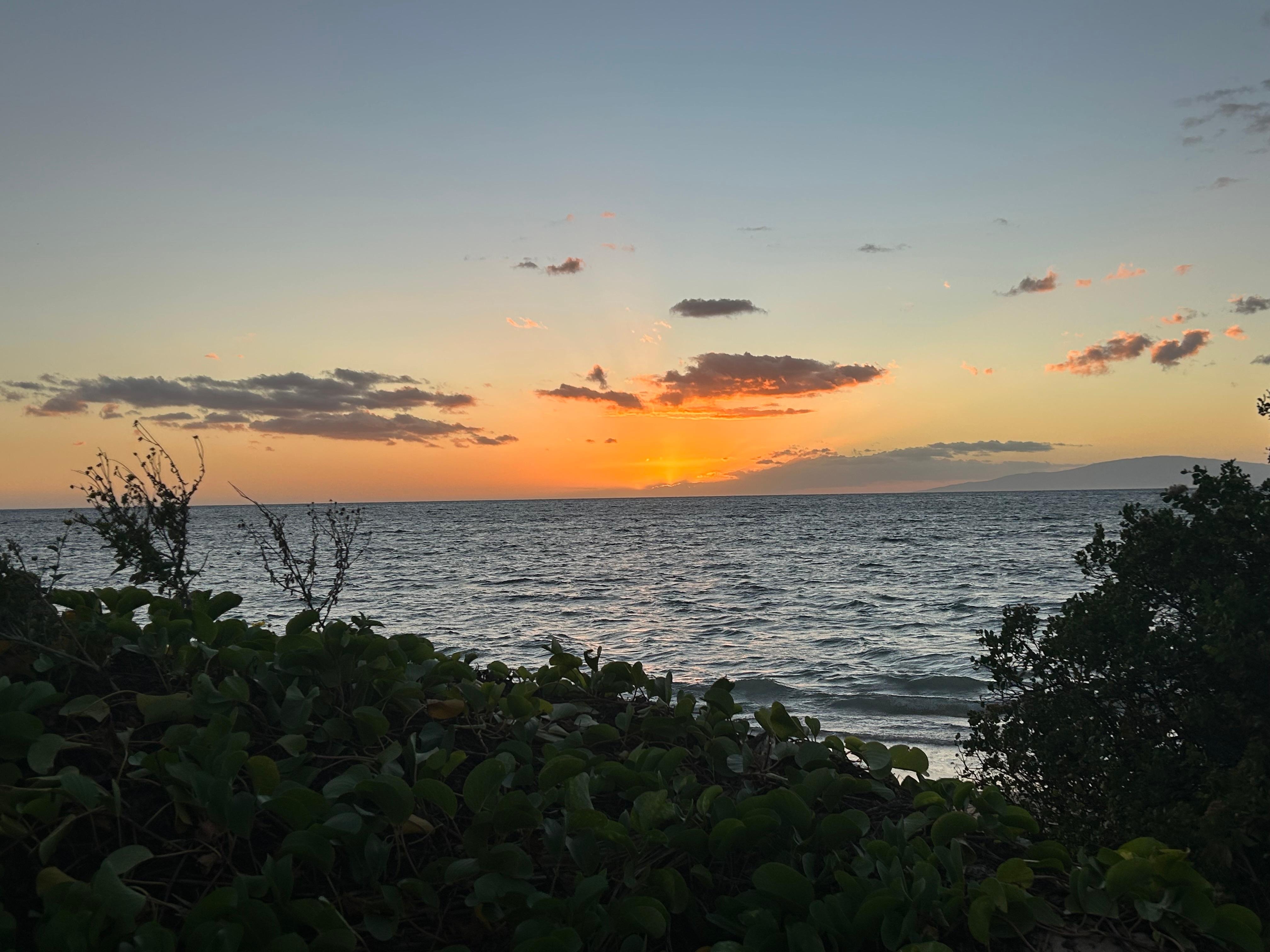 Sunset from the grass area