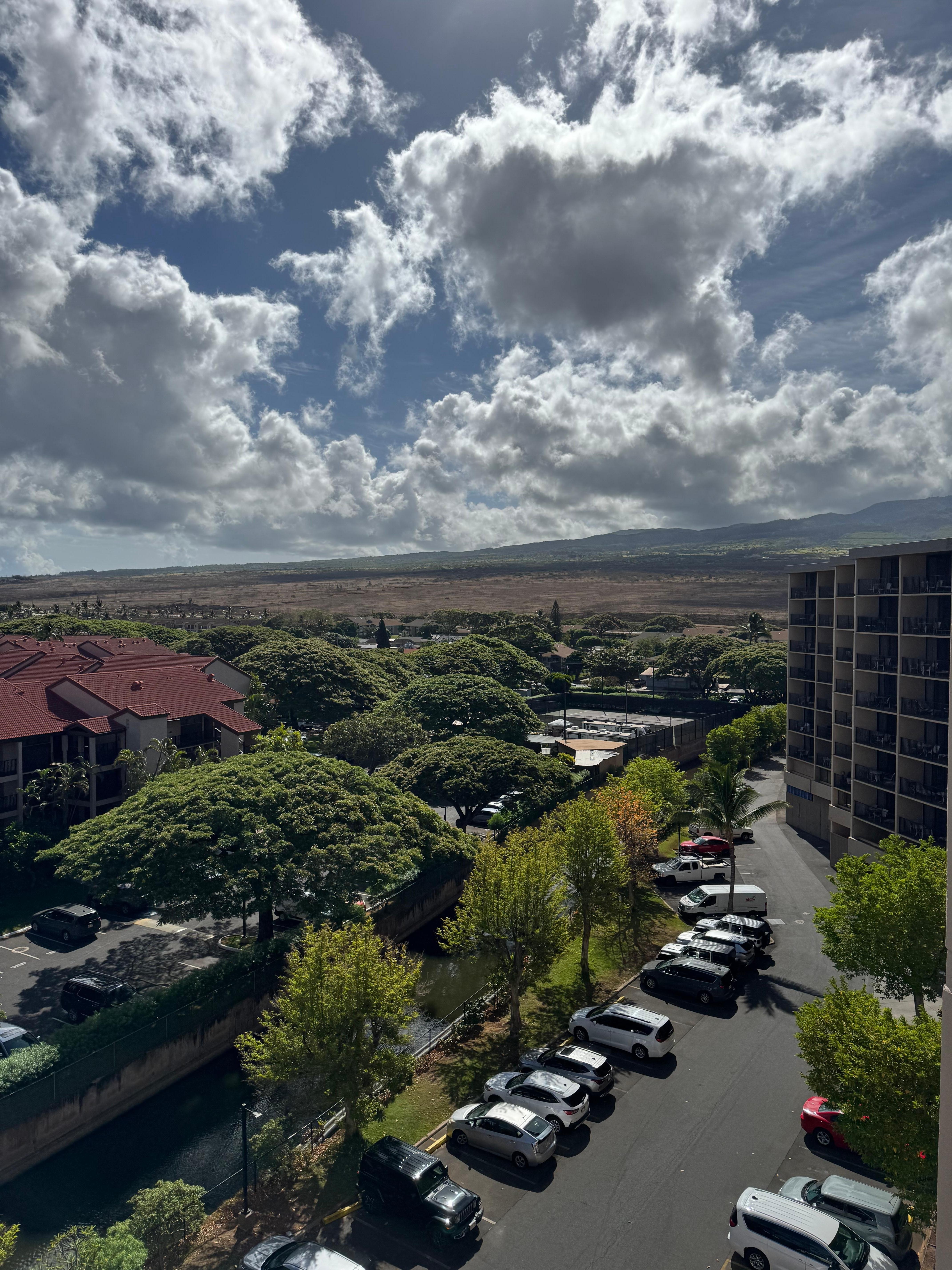 View from our floor