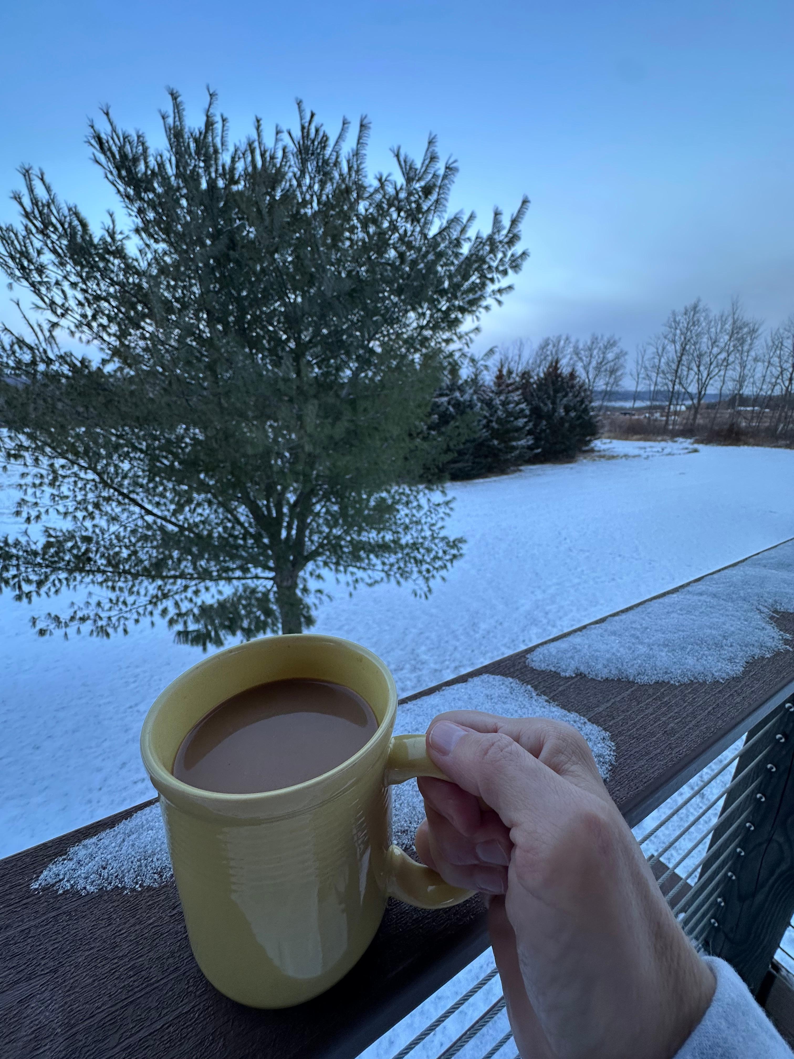 View from the back deck. 