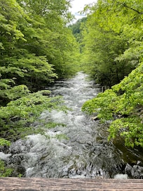 The river