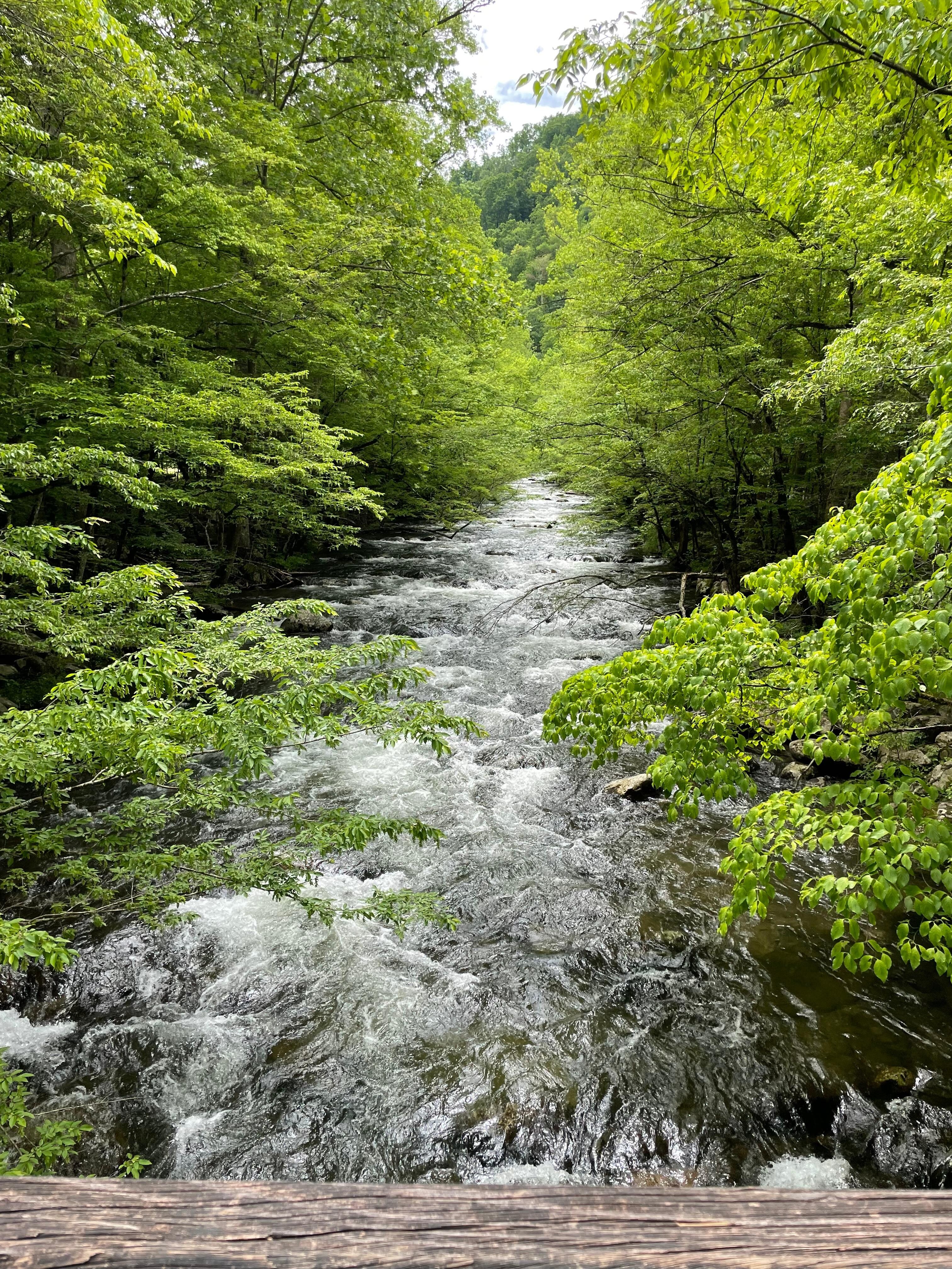 The river