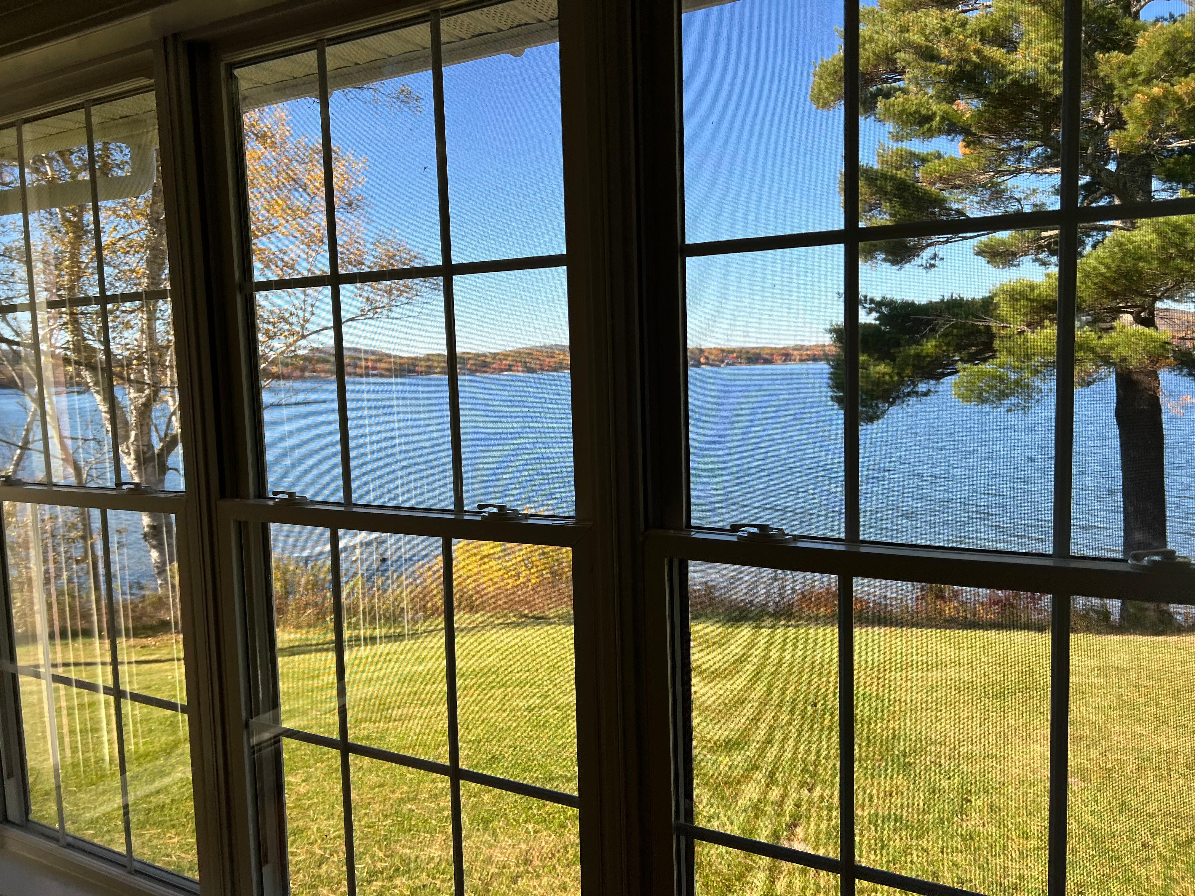 View from the living room 