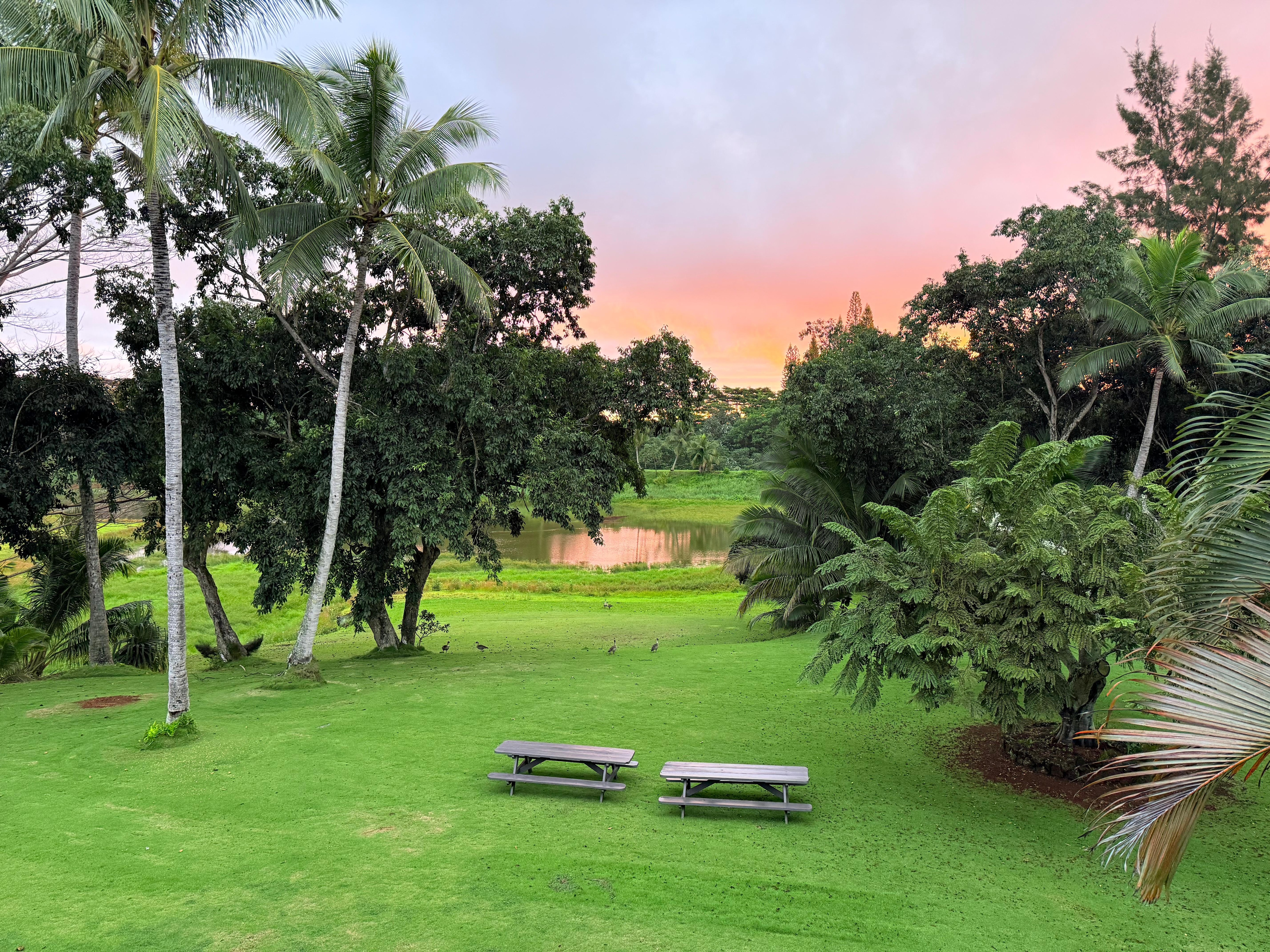 View from the house at sunrise 