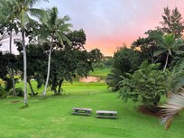 View from the house at sunrise