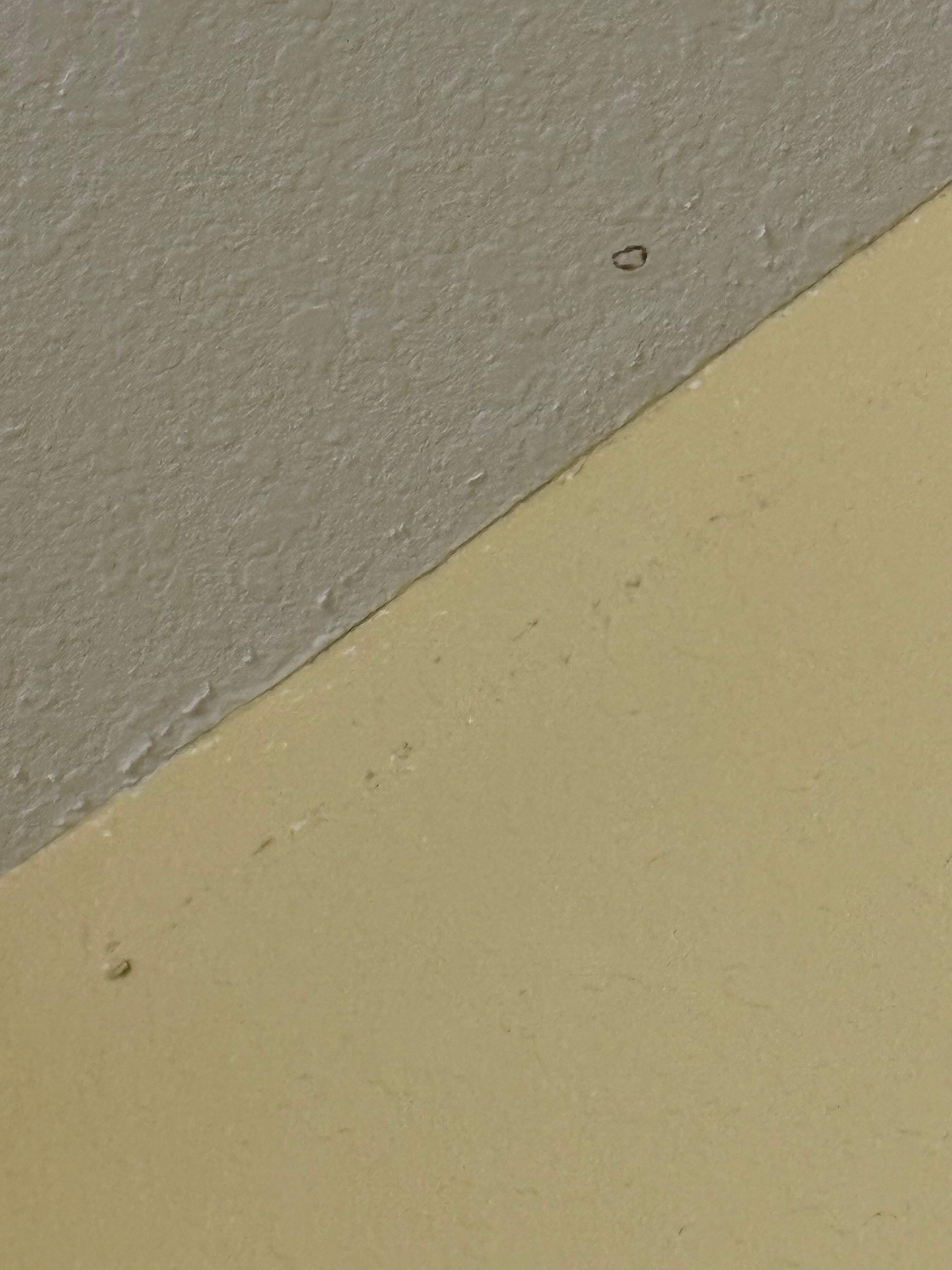 Mold on ceiling