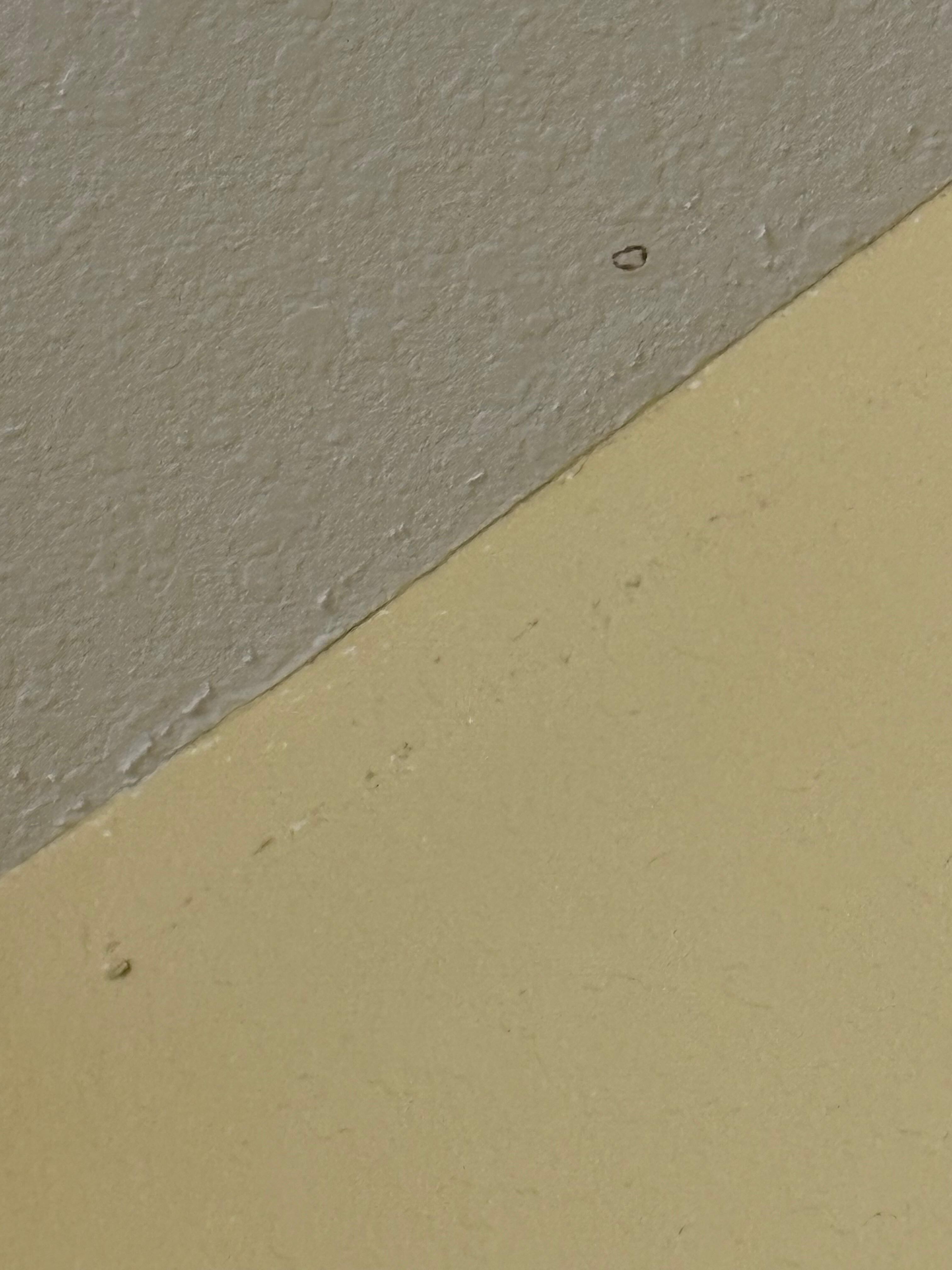Mold on ceiling 