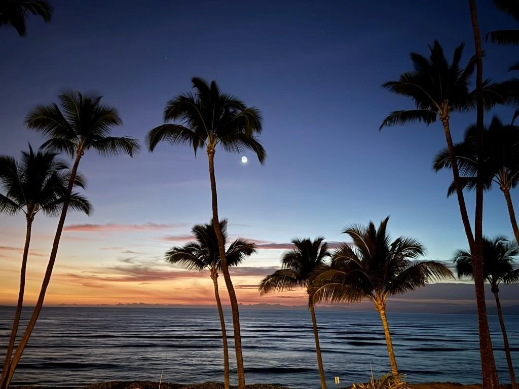 Nighttime view from the lanai
