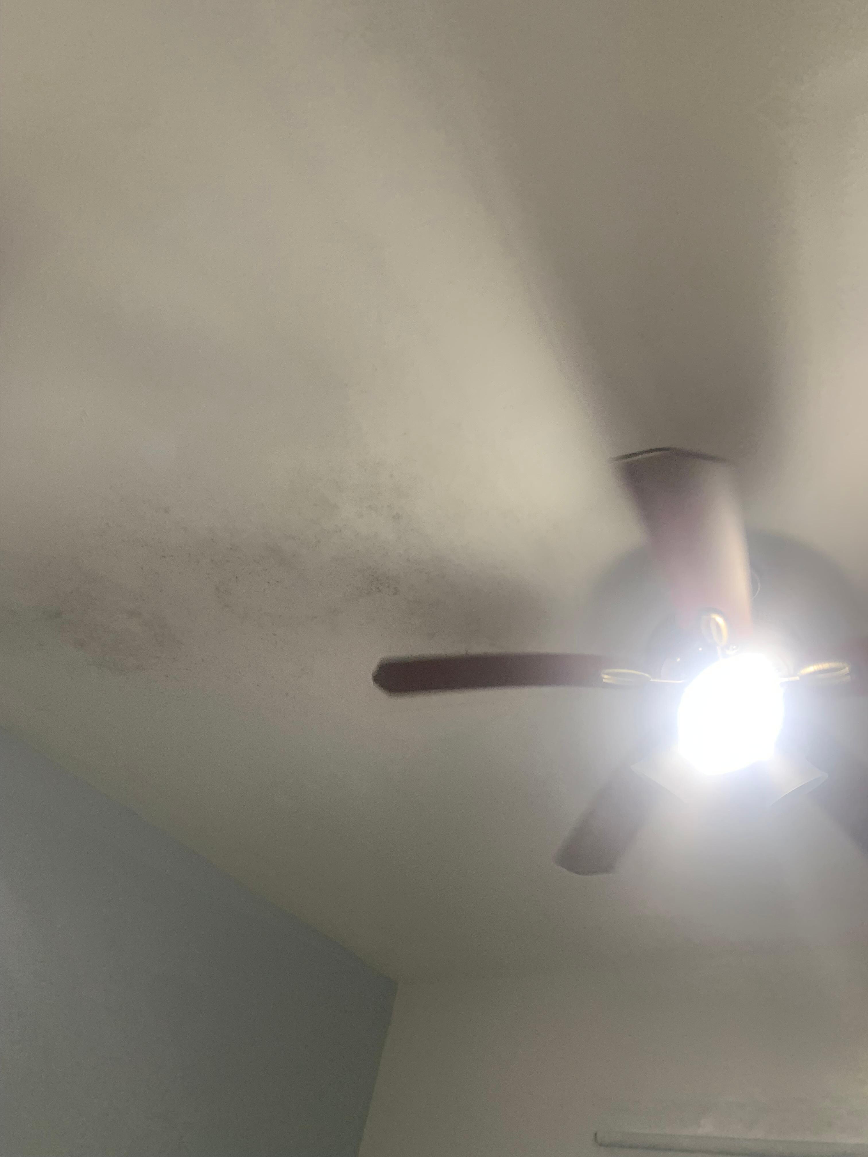 Stain by the ceiling
