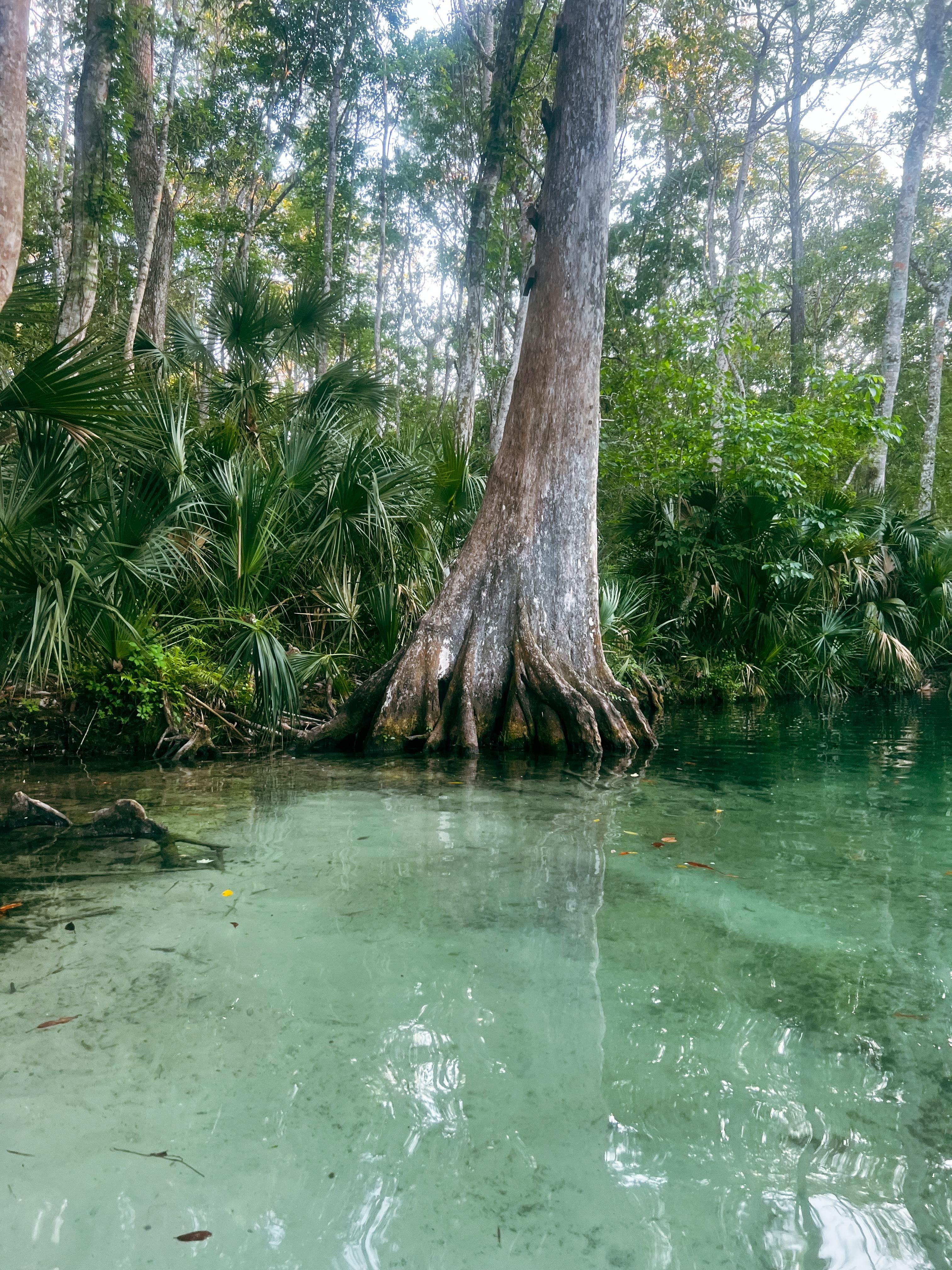 Where the canal meets the river. 