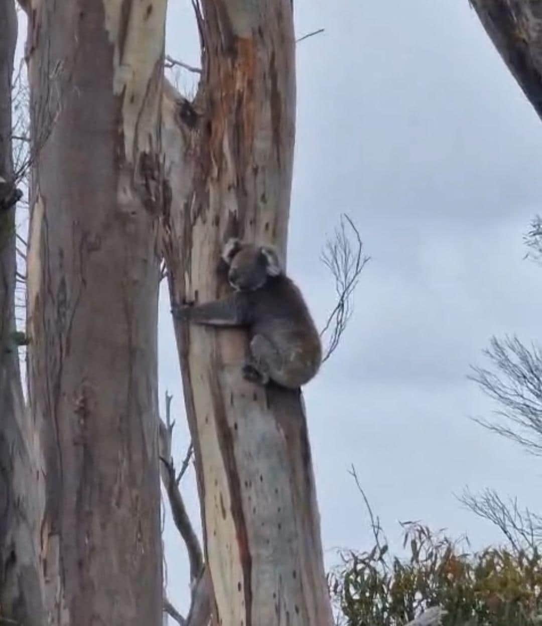 ❤️vom Balkon aus