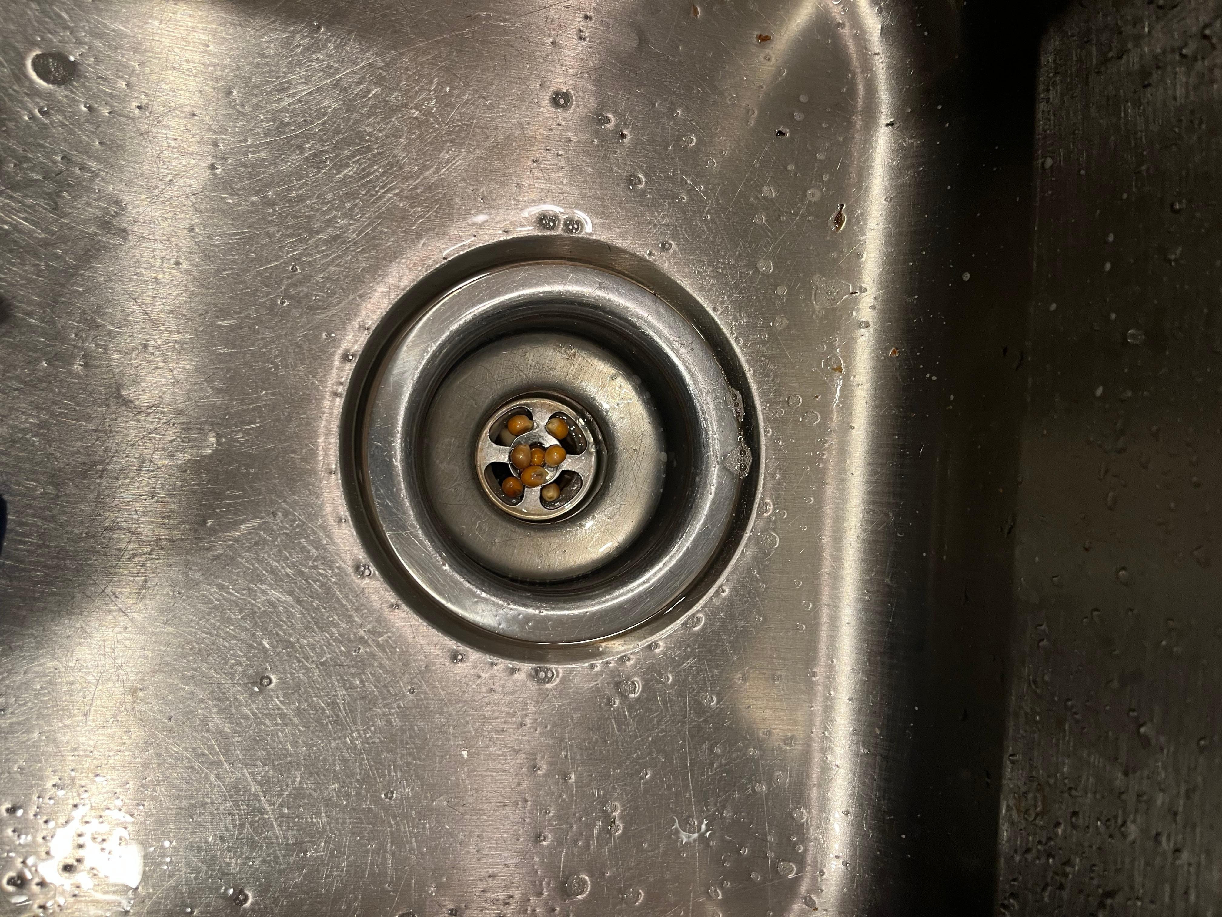 Popcorn kernels in sink