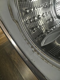 Mold in the washer