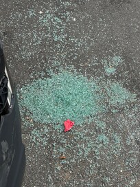 there were 3 spots like this within 50 feet of the home