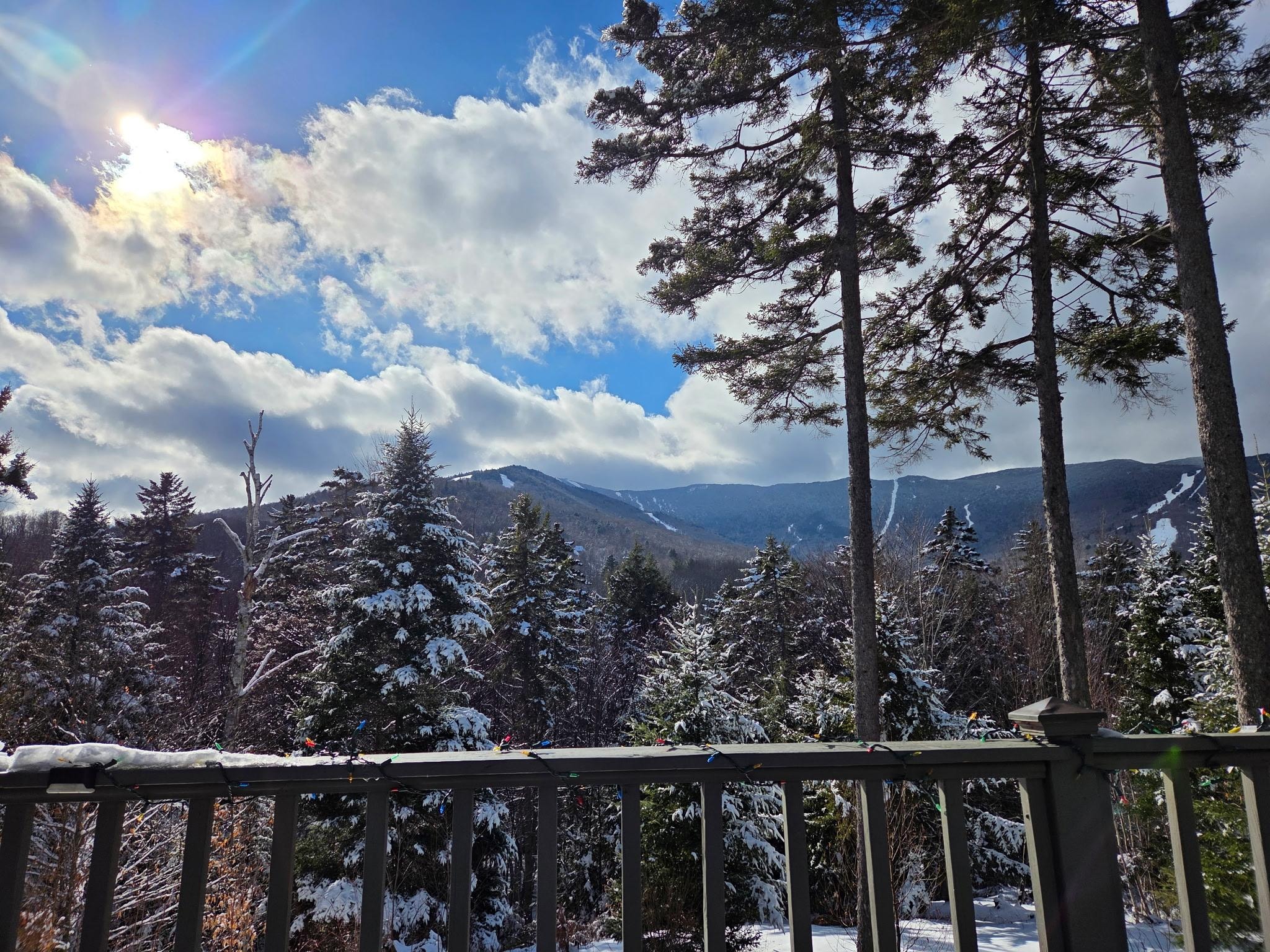 A view from the deck