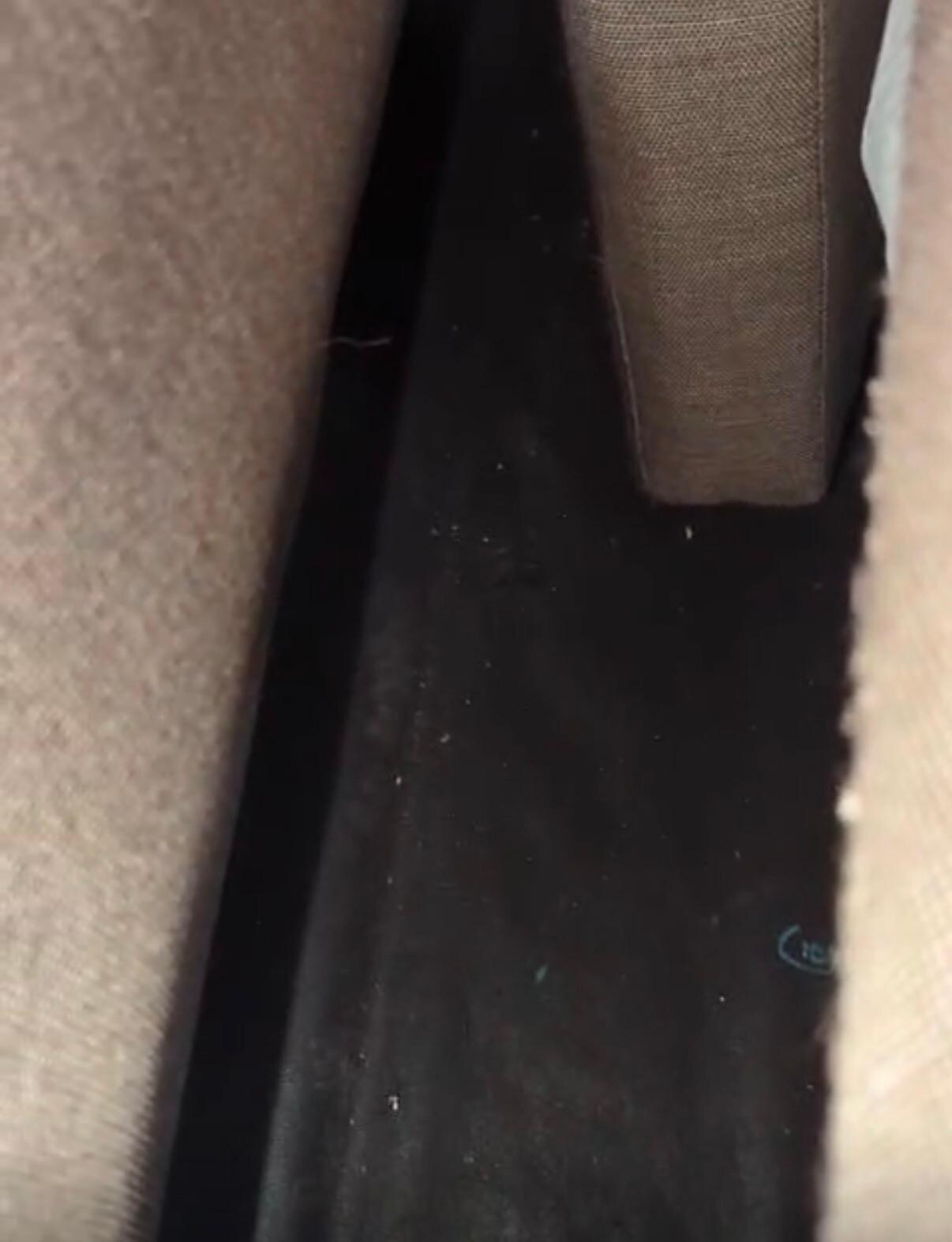 The pullout couch
