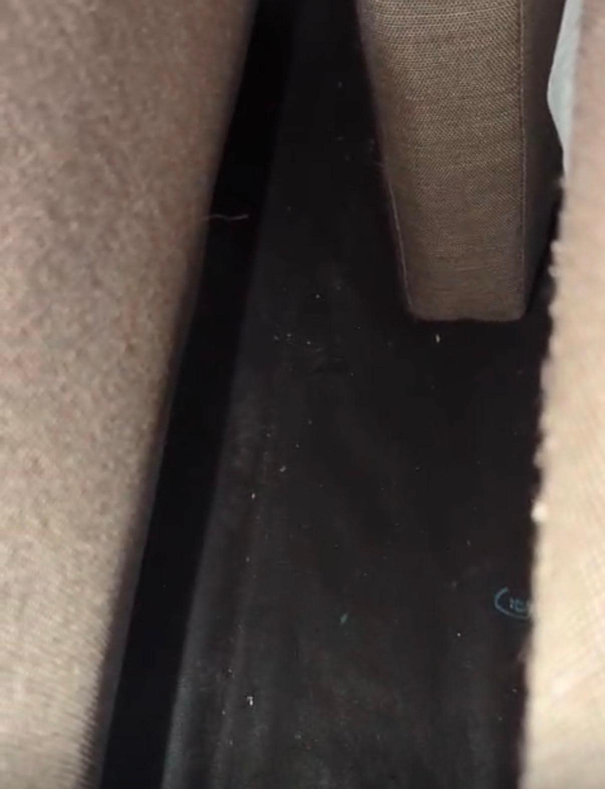 The pullout couch