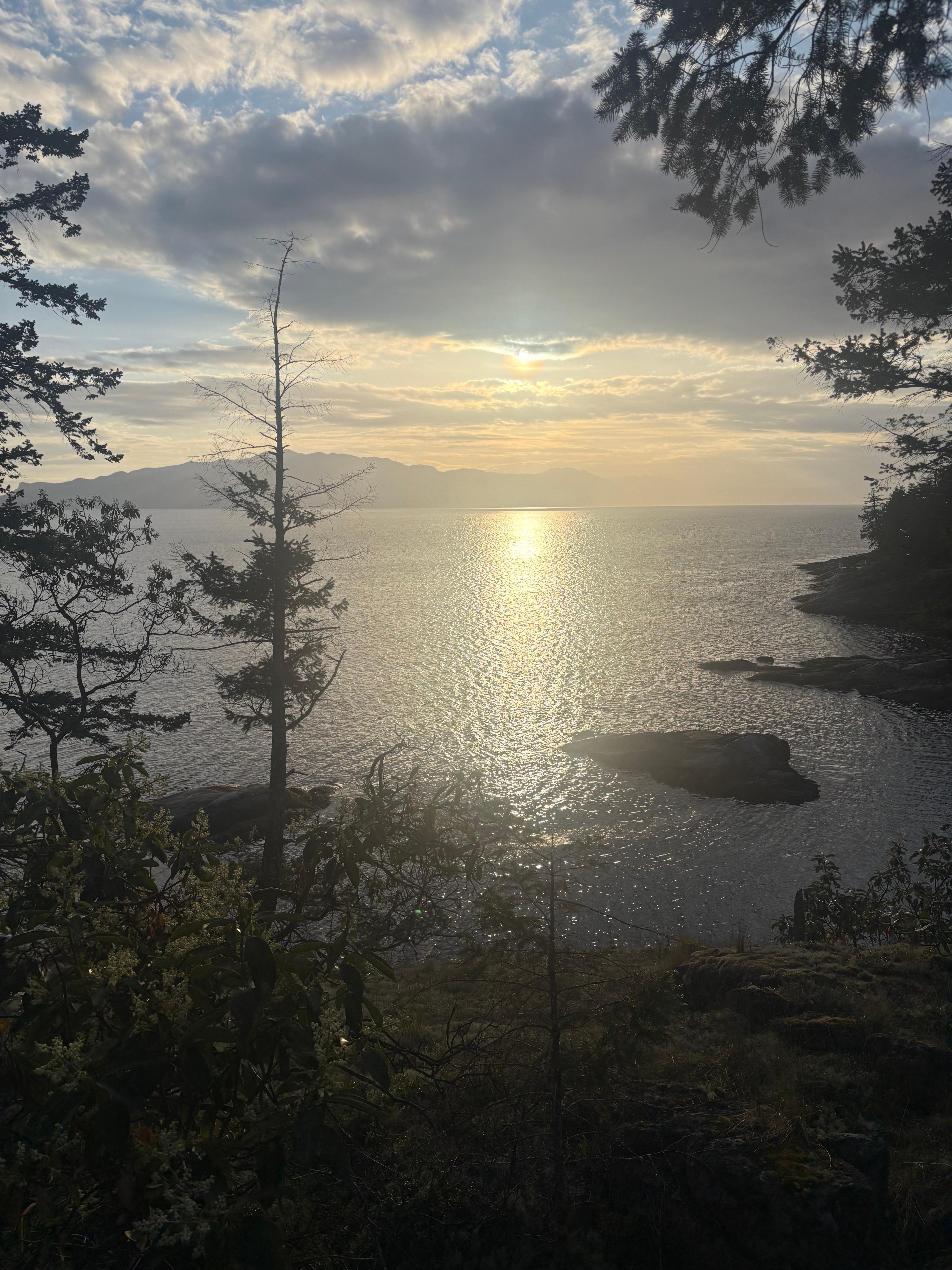 View off the boardwalk 