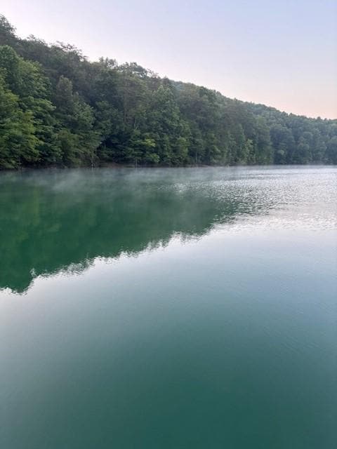 View out of the cove from the dock-Gorgeous!
