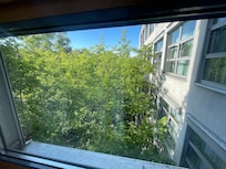 Window view