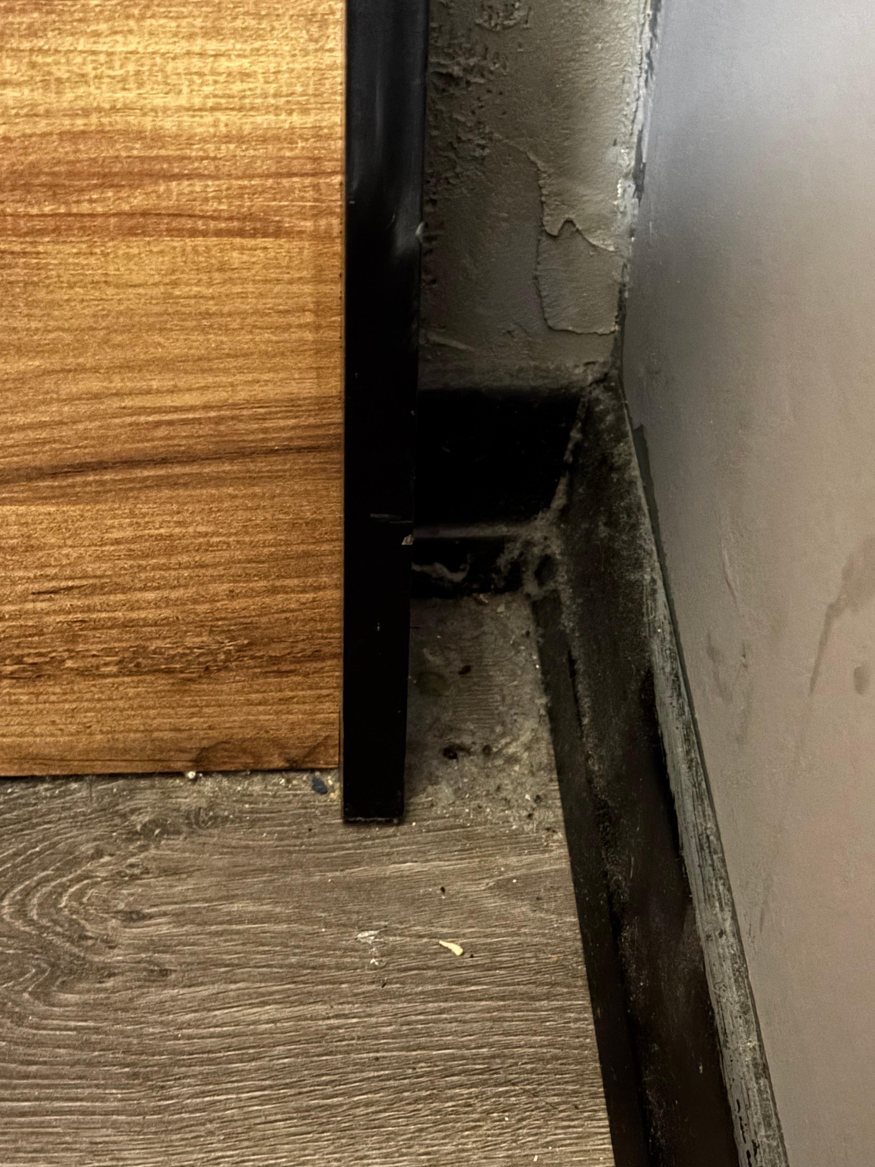 One example of how dust was in every corner of the floor. Seems like never been vacuumed or cleaned.