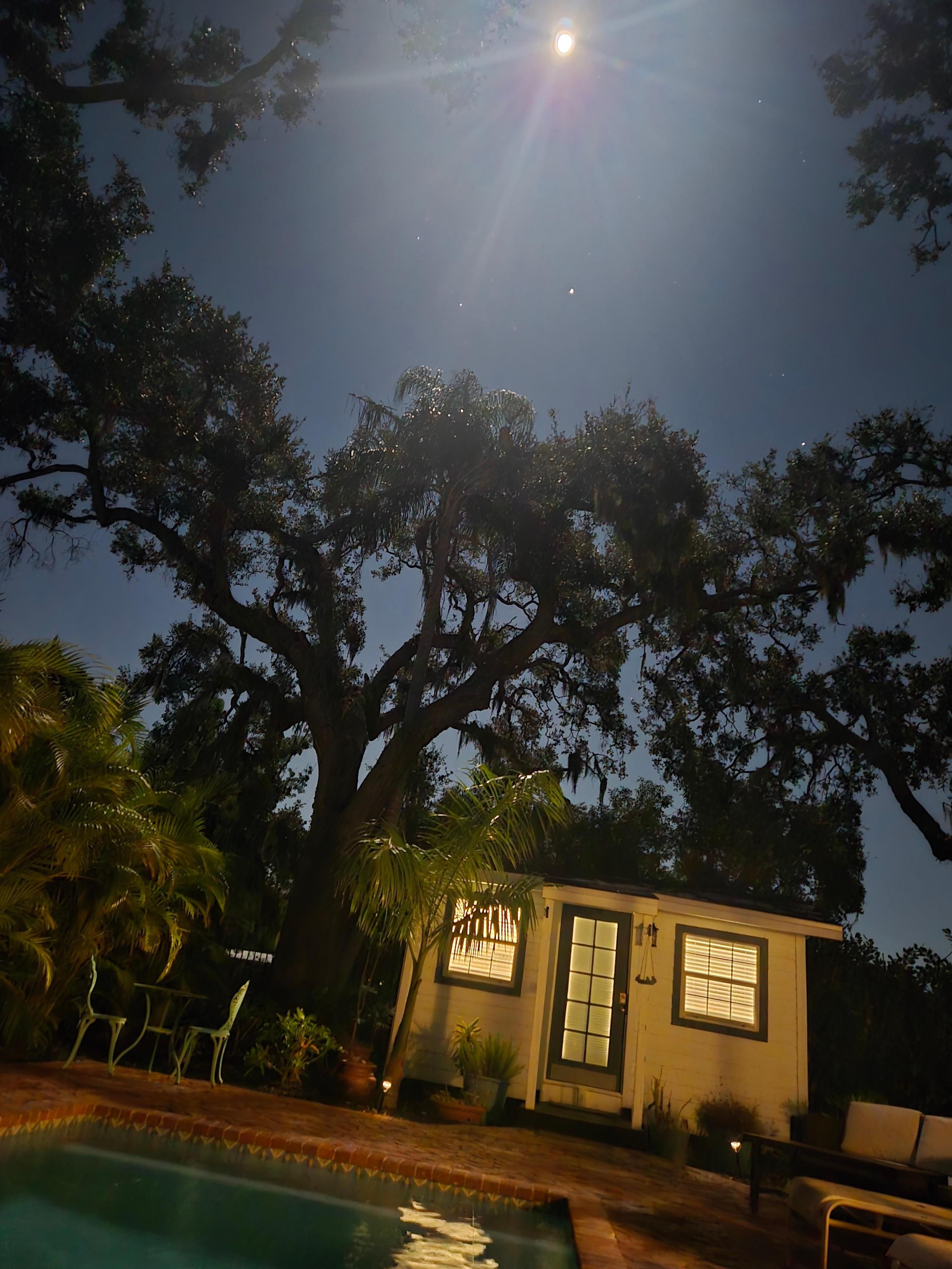 Night swim under the moon