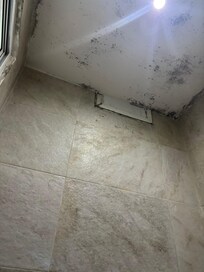 Mold on the walls and ceiling