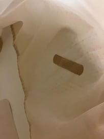 Band aid left on shower curtain