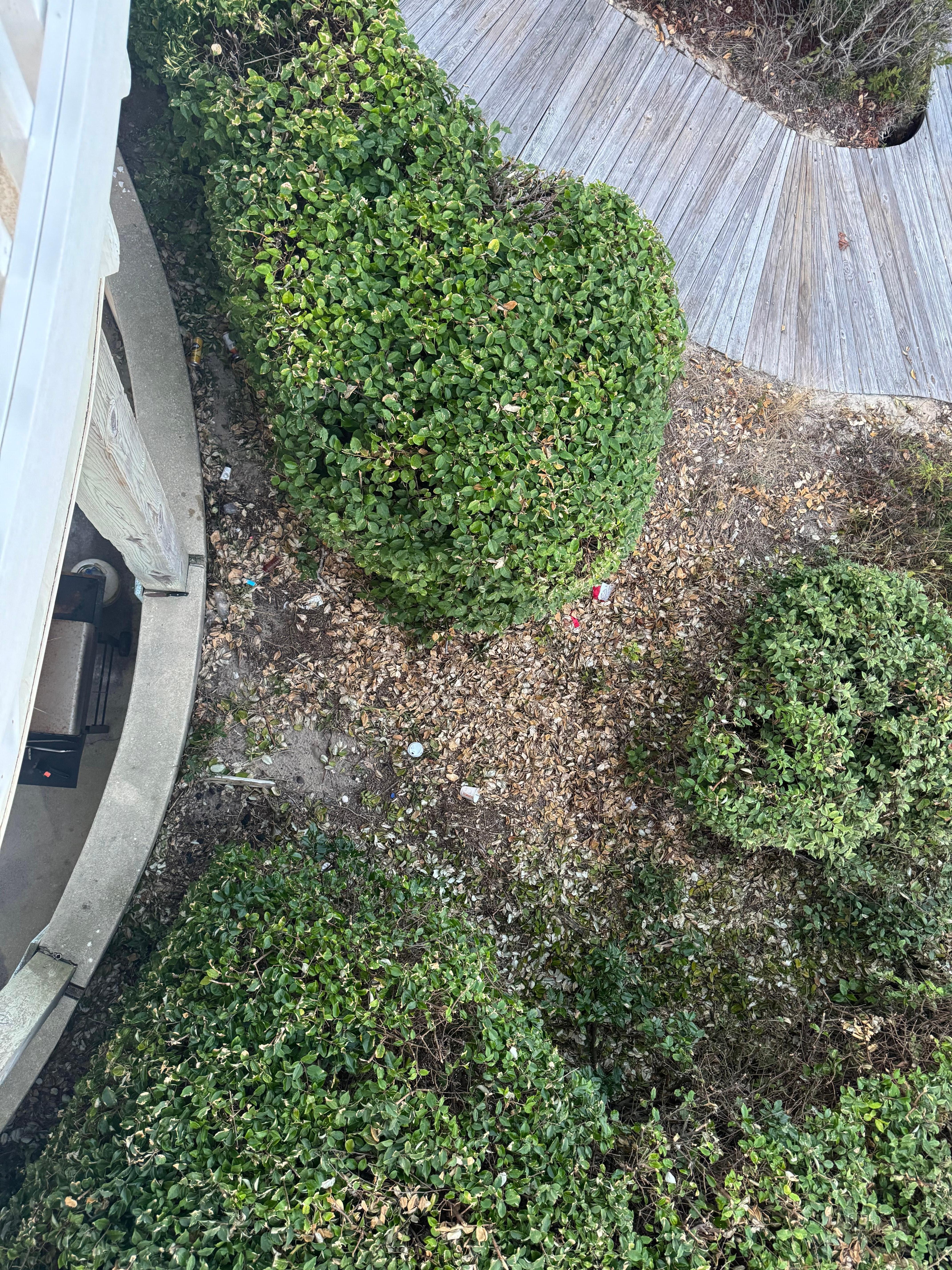 So much garbage and clippings laying 