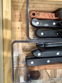 Mouse poop in silverware drawer