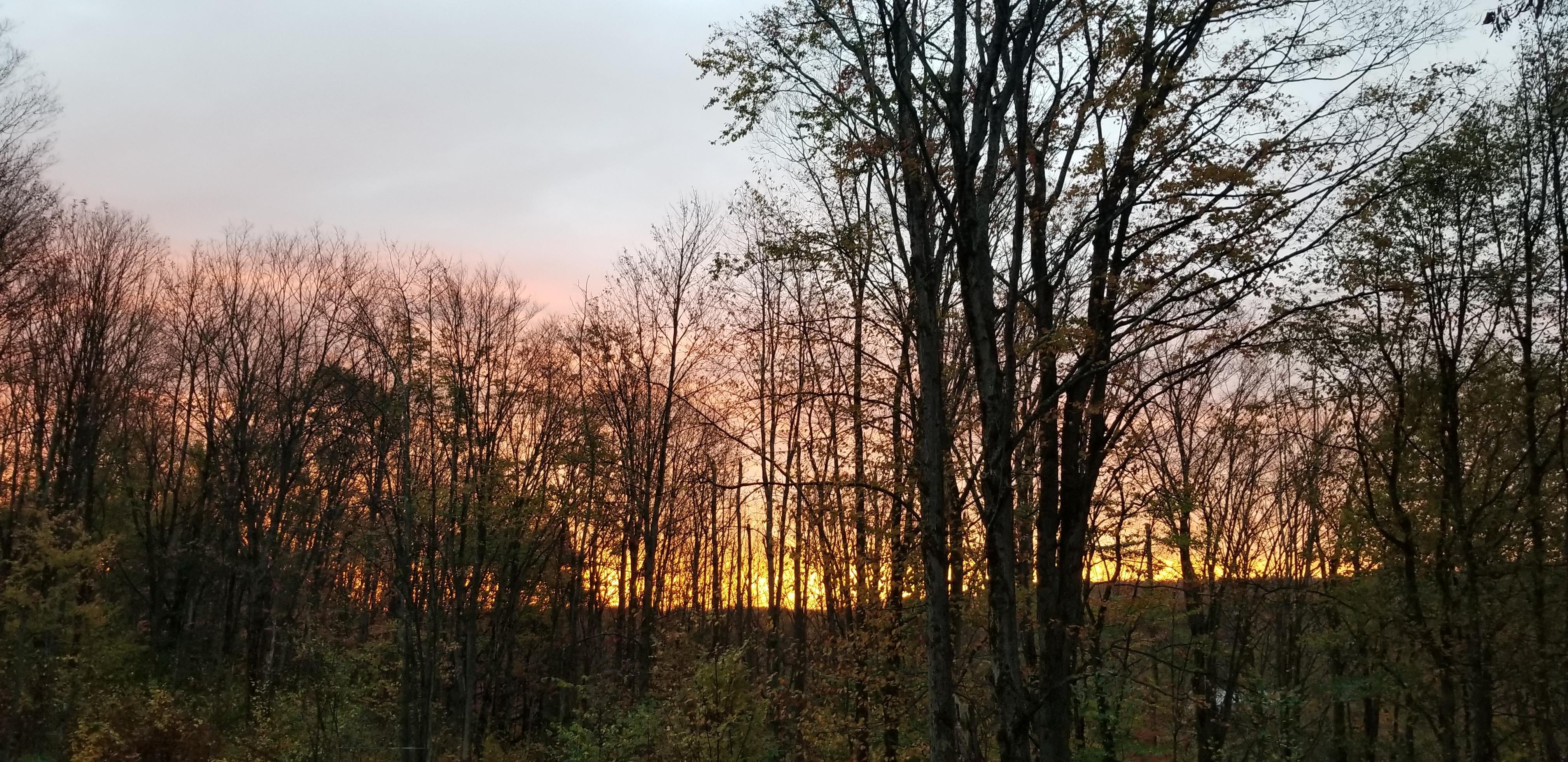 Sunrise from the deck