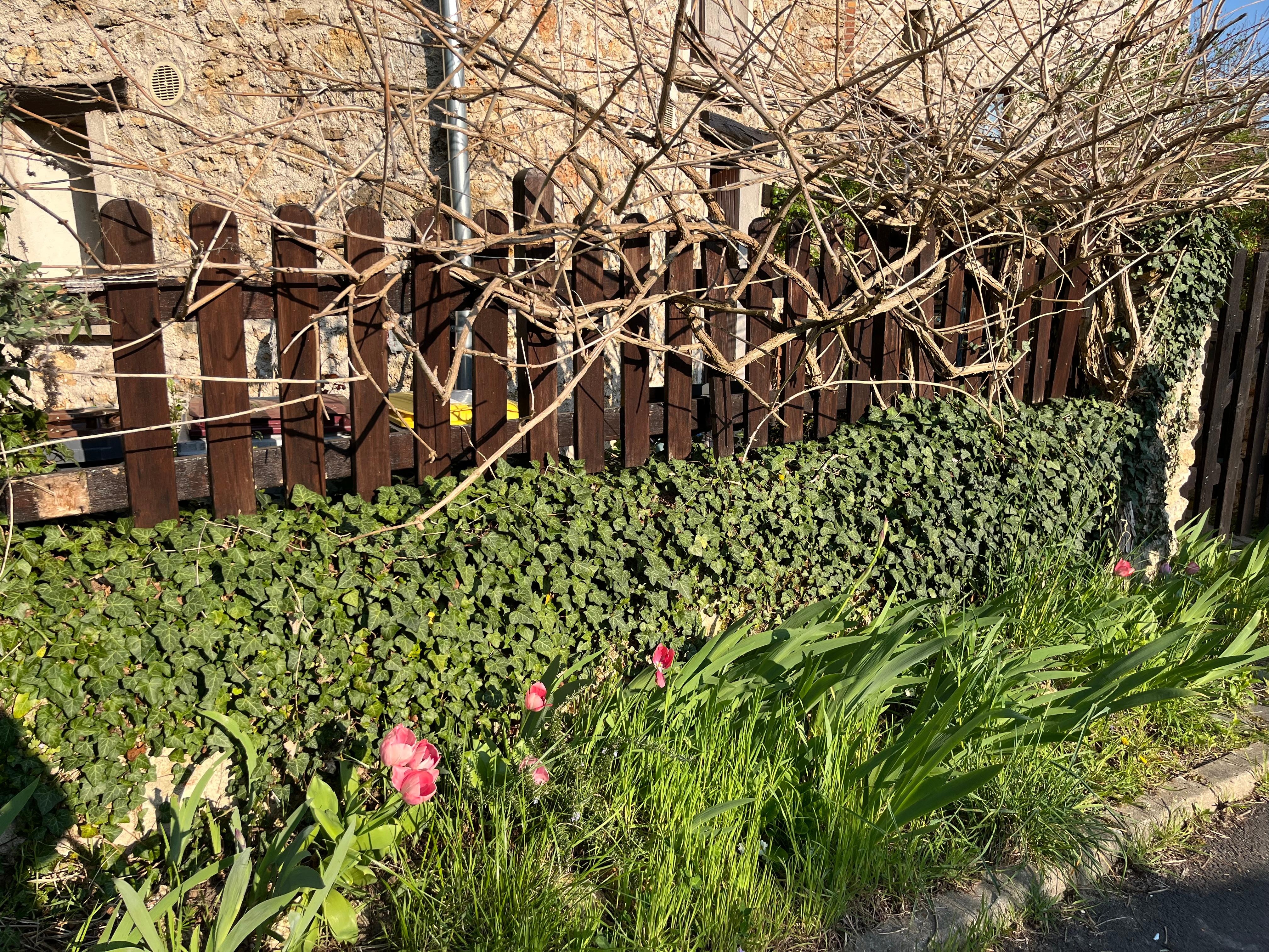 E. Sf de små hyggelige sidevrje