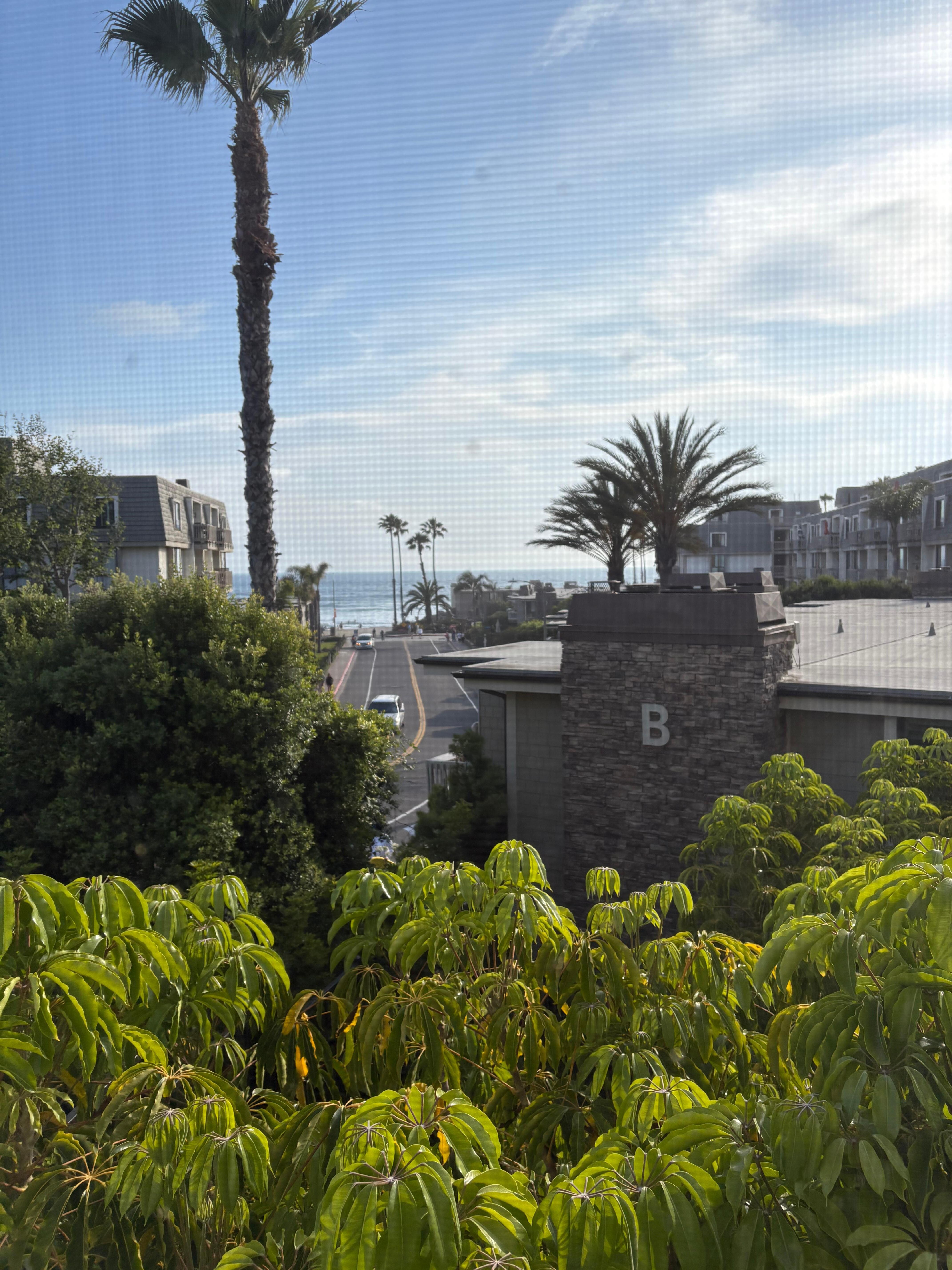 The view from the room the kid stayed in. 