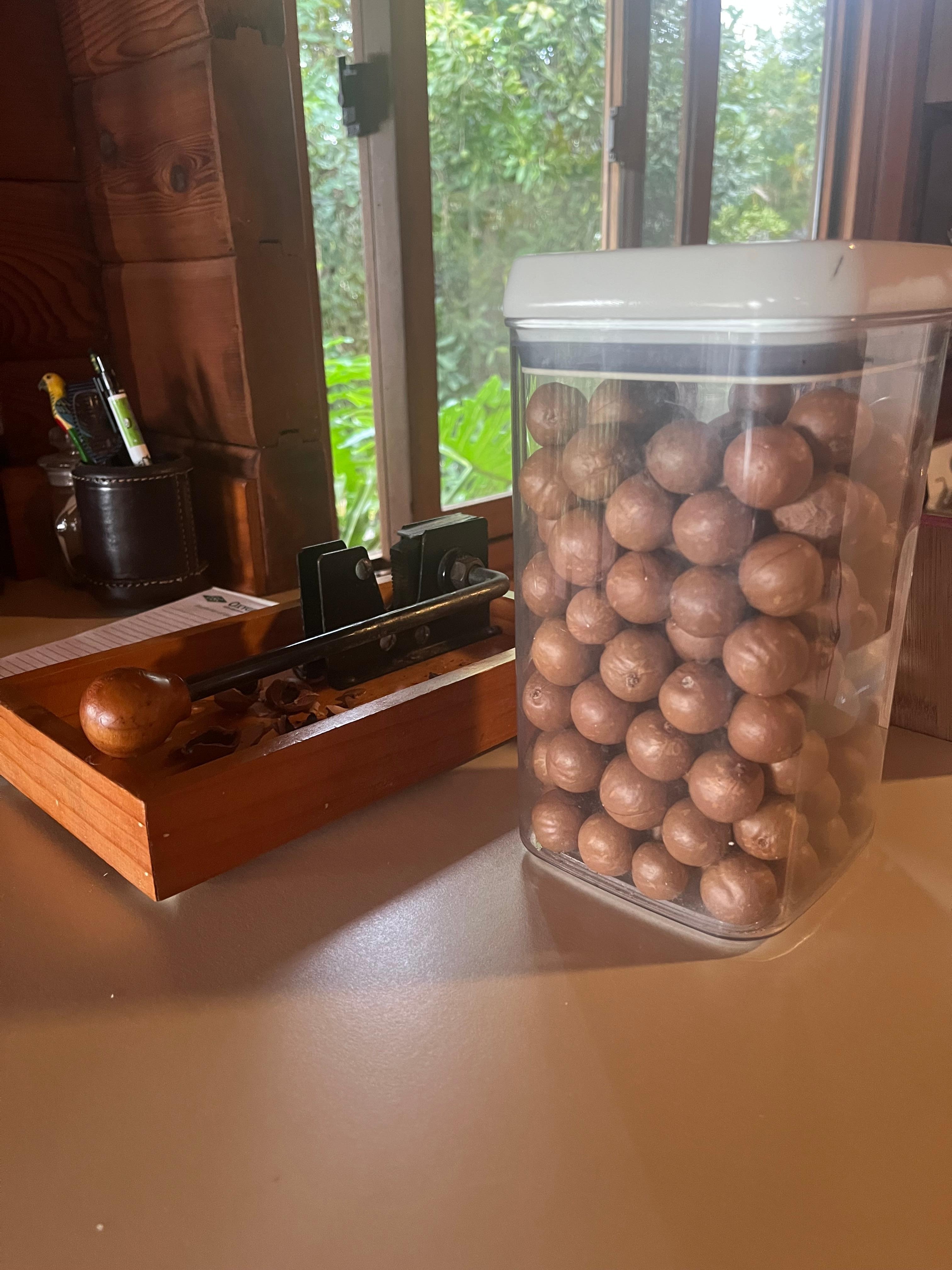 The home grown macadamia nuts were a great bonus!