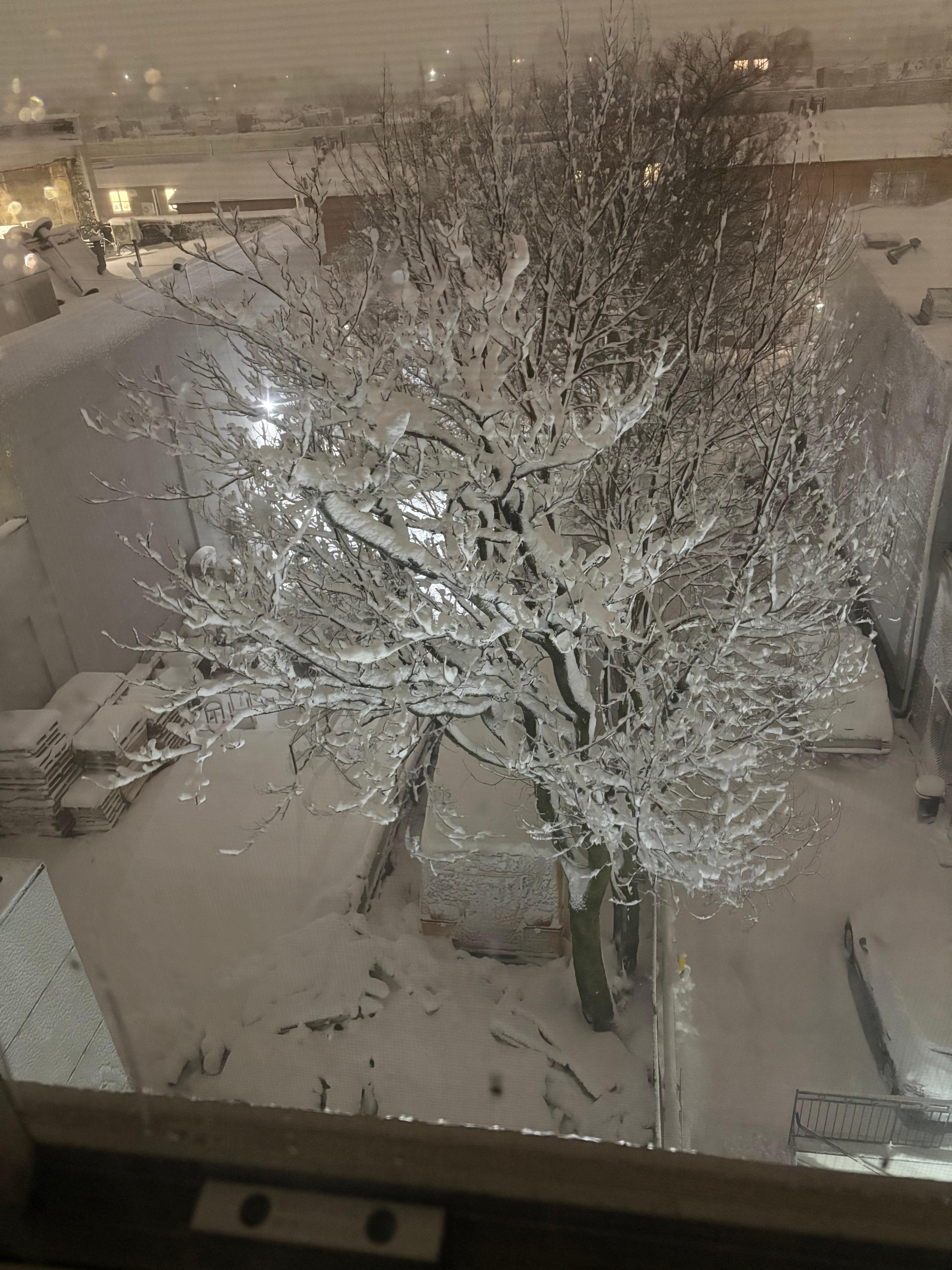The view outside my hotel room window during the blizzard of 2026 on Monday, February 23!