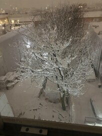 The view outside my hotel room window during the blizzard of 2026 on Monday, February 23!