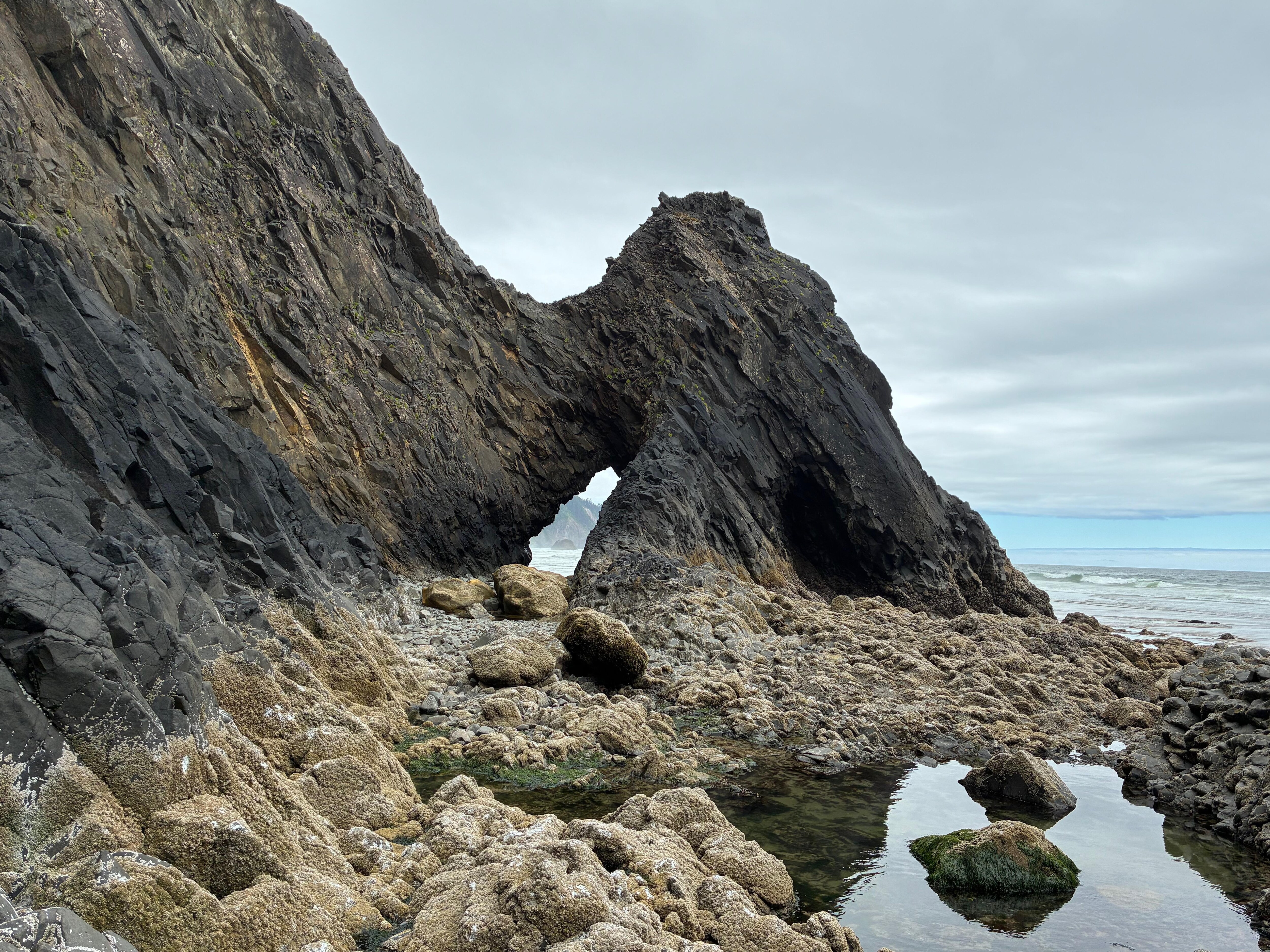 The arches that gave Arch Cape its name, just a short walk south down beach