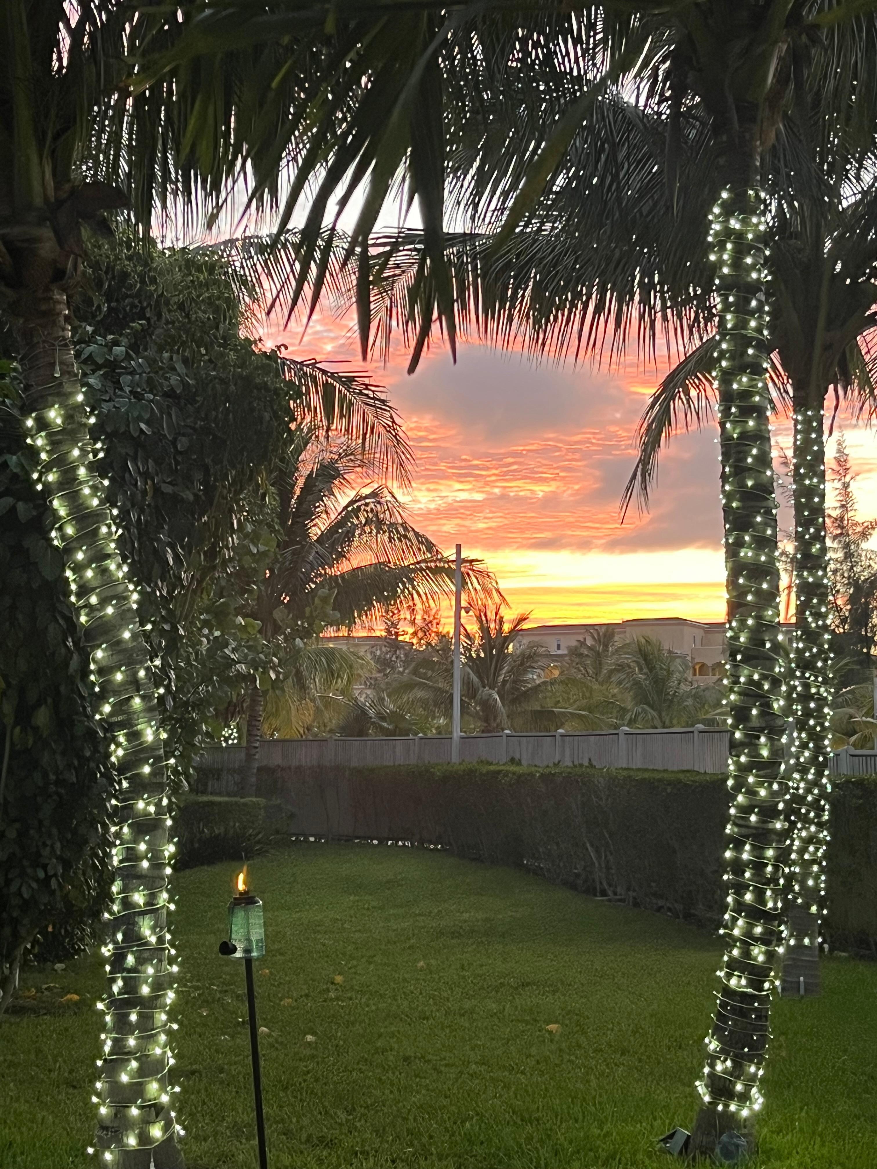 The grounds at sunset