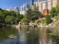 Vue du jardin chinois