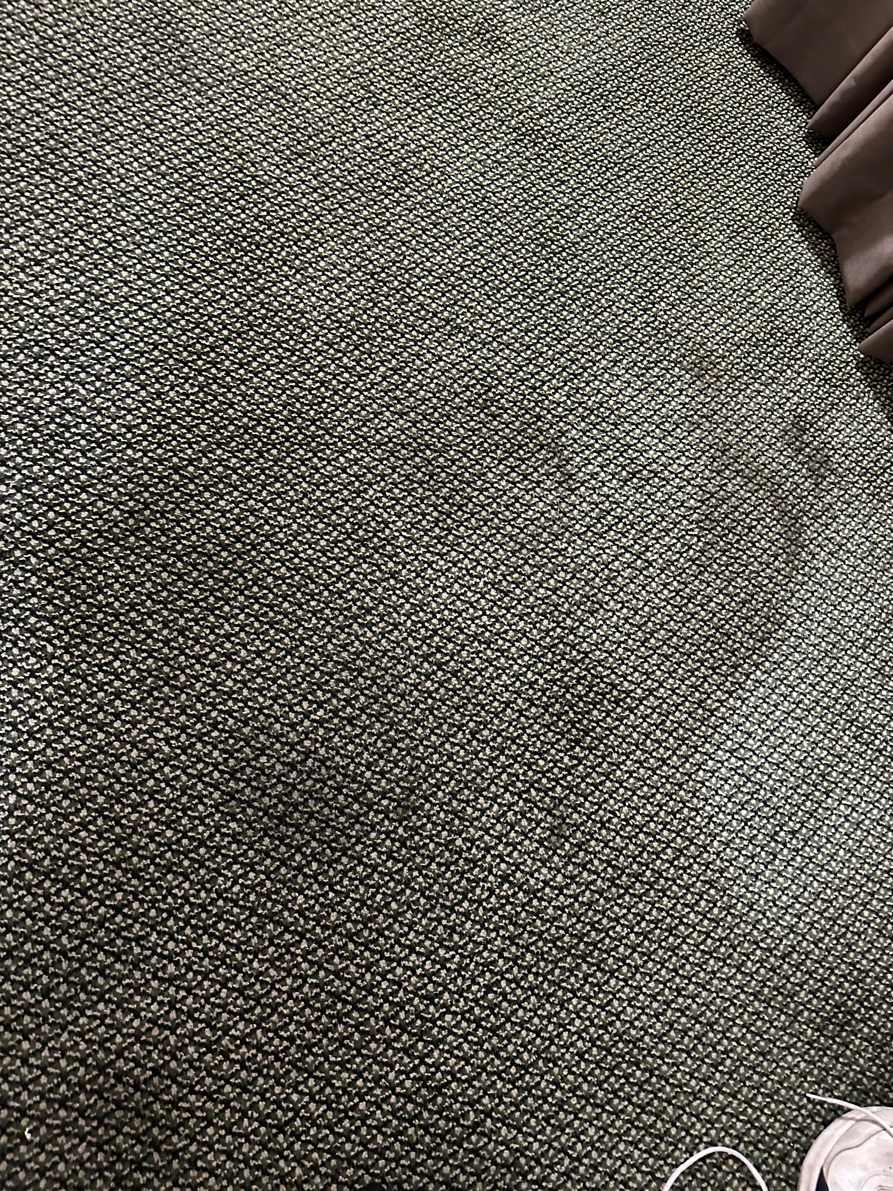 Carpet stains near entry