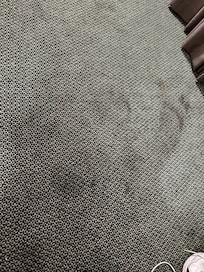 Carpet stains near entry