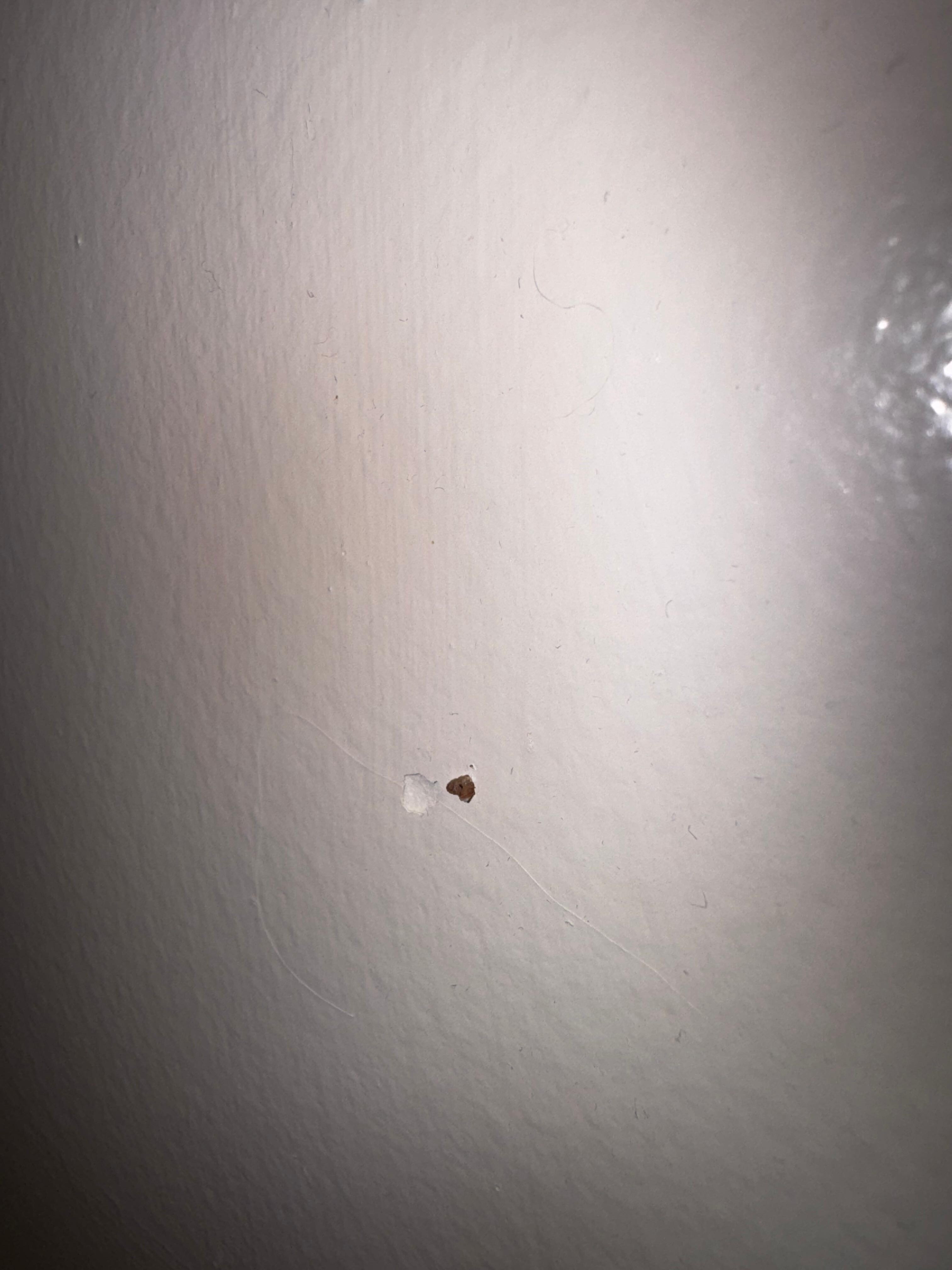 Boogers on the walls