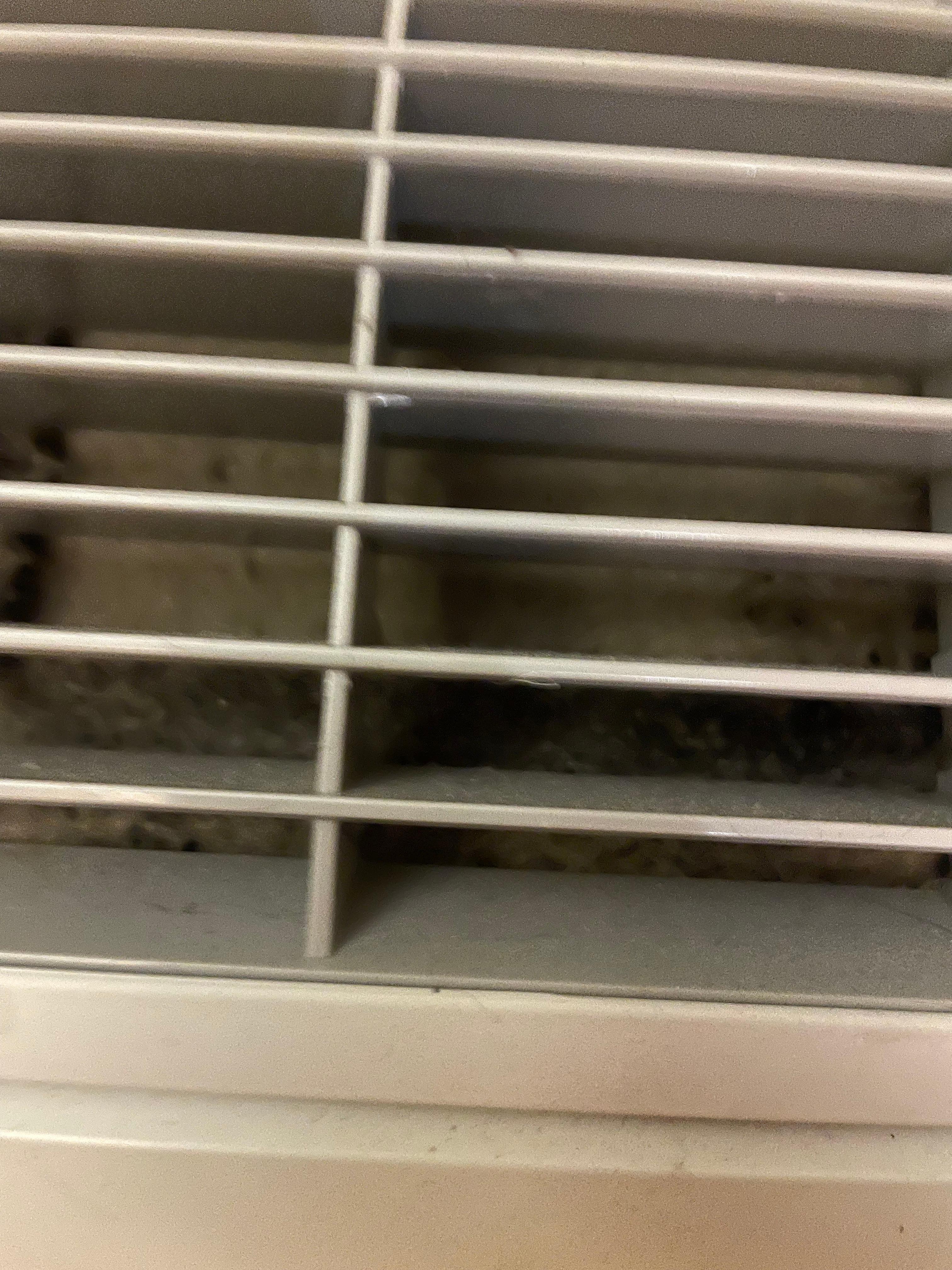 caked on layer of dust in air conditioner vent 