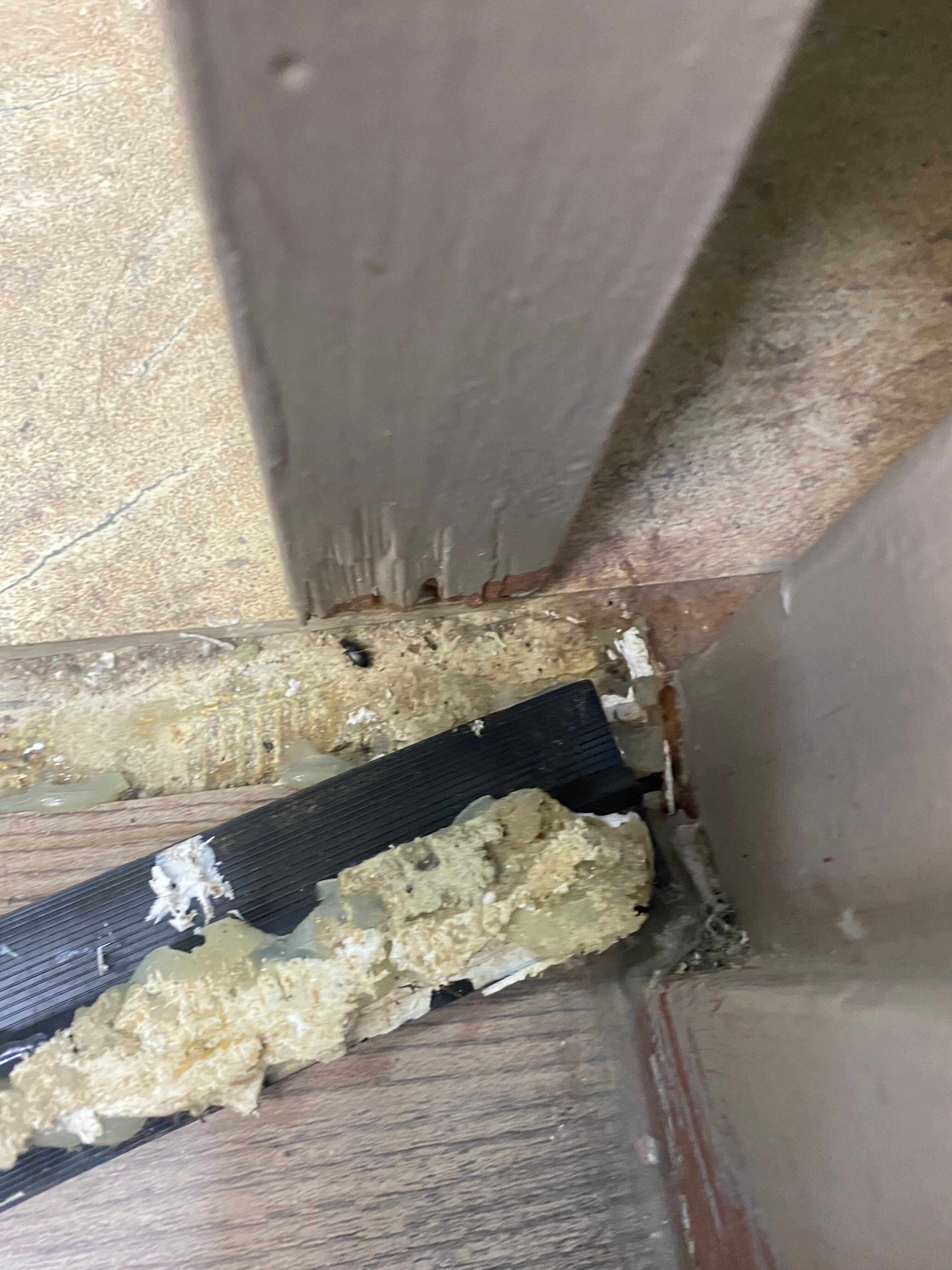 Bathroom threshold