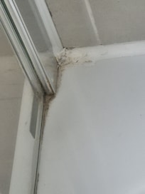 Dirty shower. No excuse.