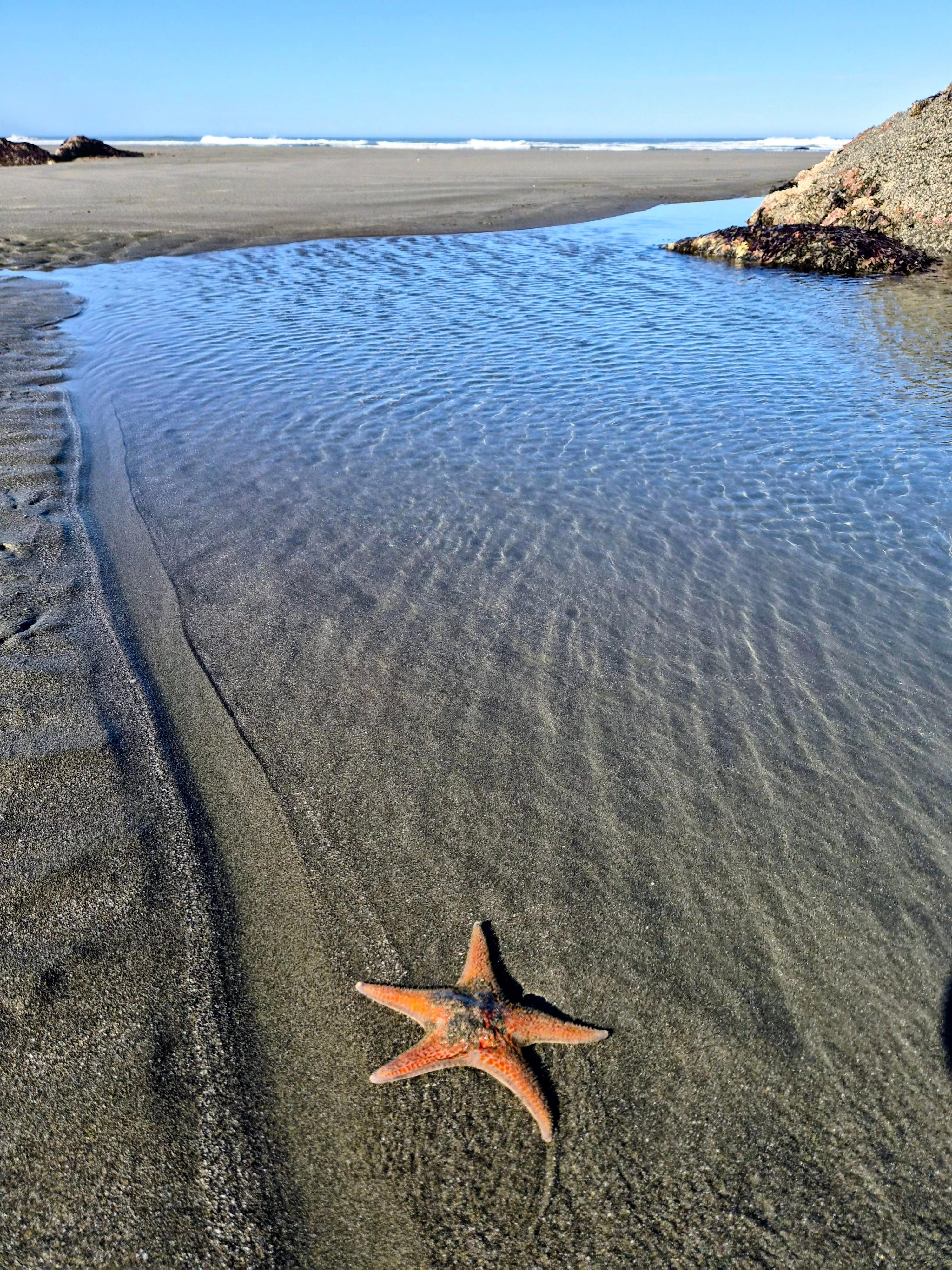 Definitely walk down to the beach during the morning low tide. 