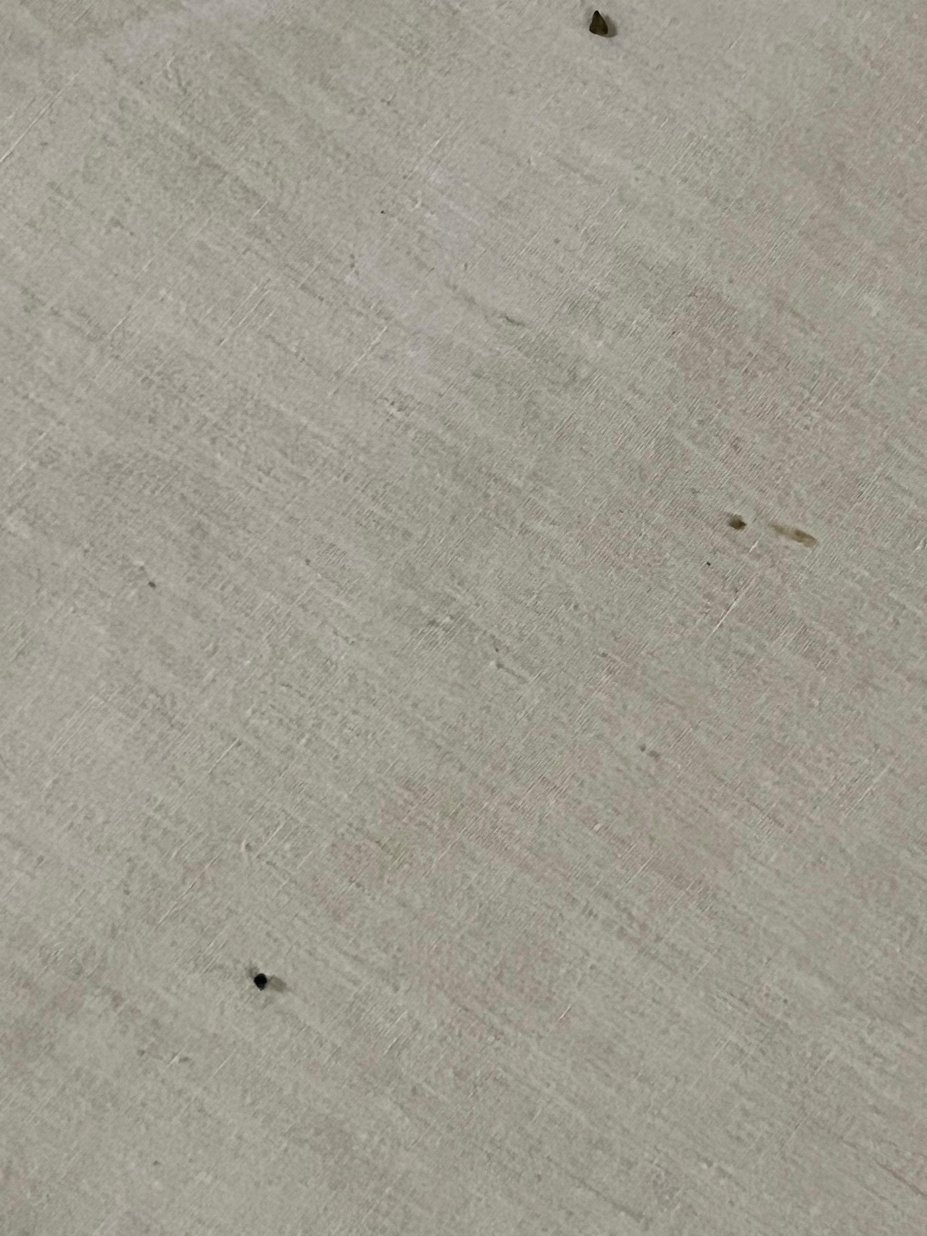 Stains on the bedspread 