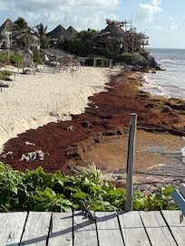 Beach does get a lot of seaweed at certain times of the year.